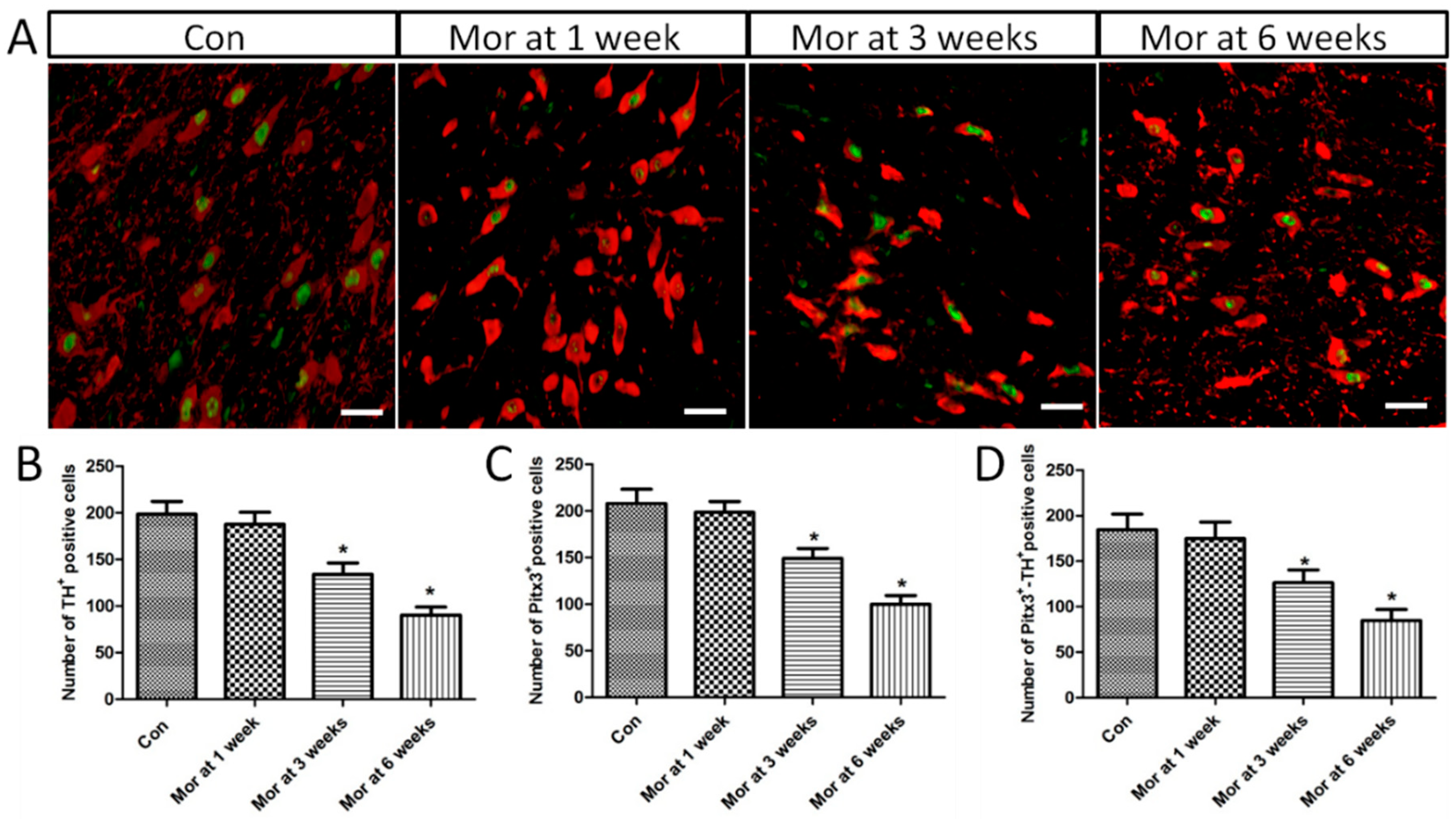 Ijms 20 00250 g006 Ijms 20 00250 g006