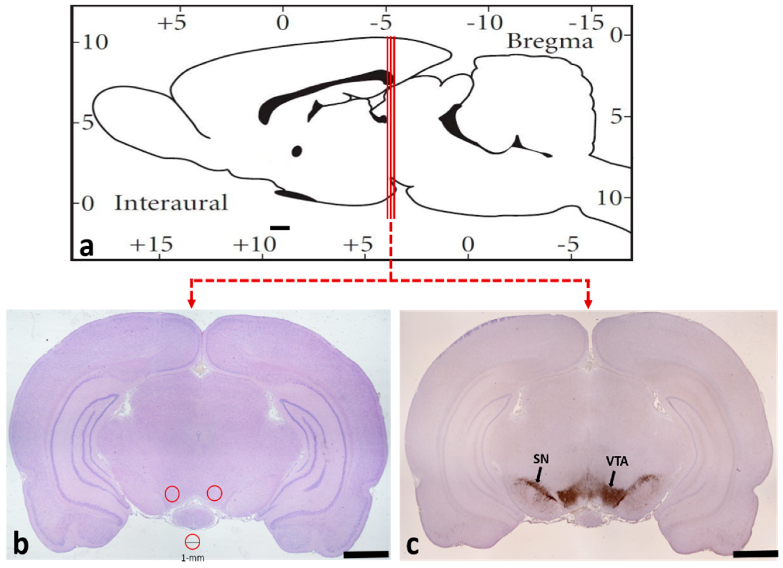 Ijms 20 00250 g008 Ijms 20 00250 g008