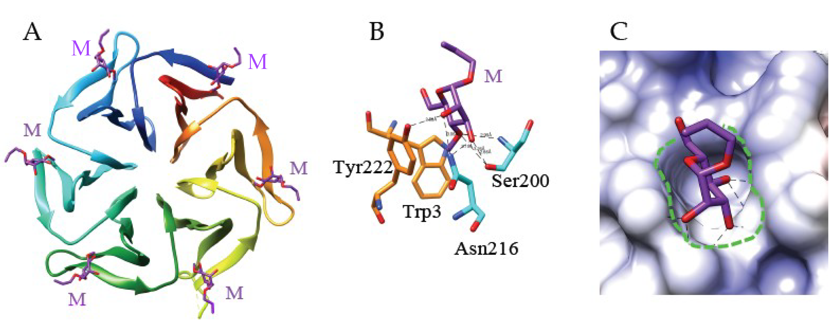 Ijms 20 00254 g004 Ijms 20 00254 g004