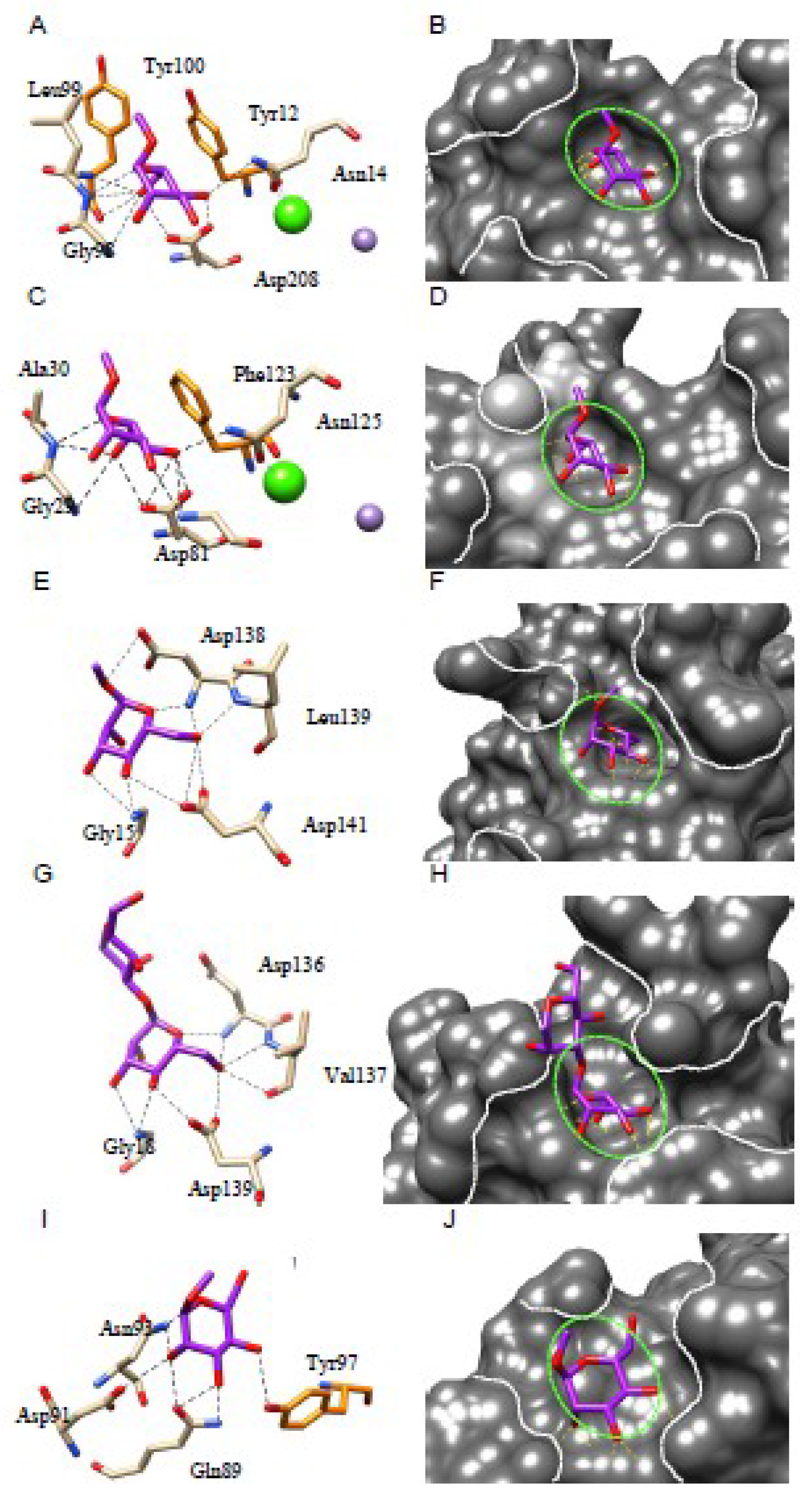 Ijms 20 00254 g007 Ijms 20 00254 g007
