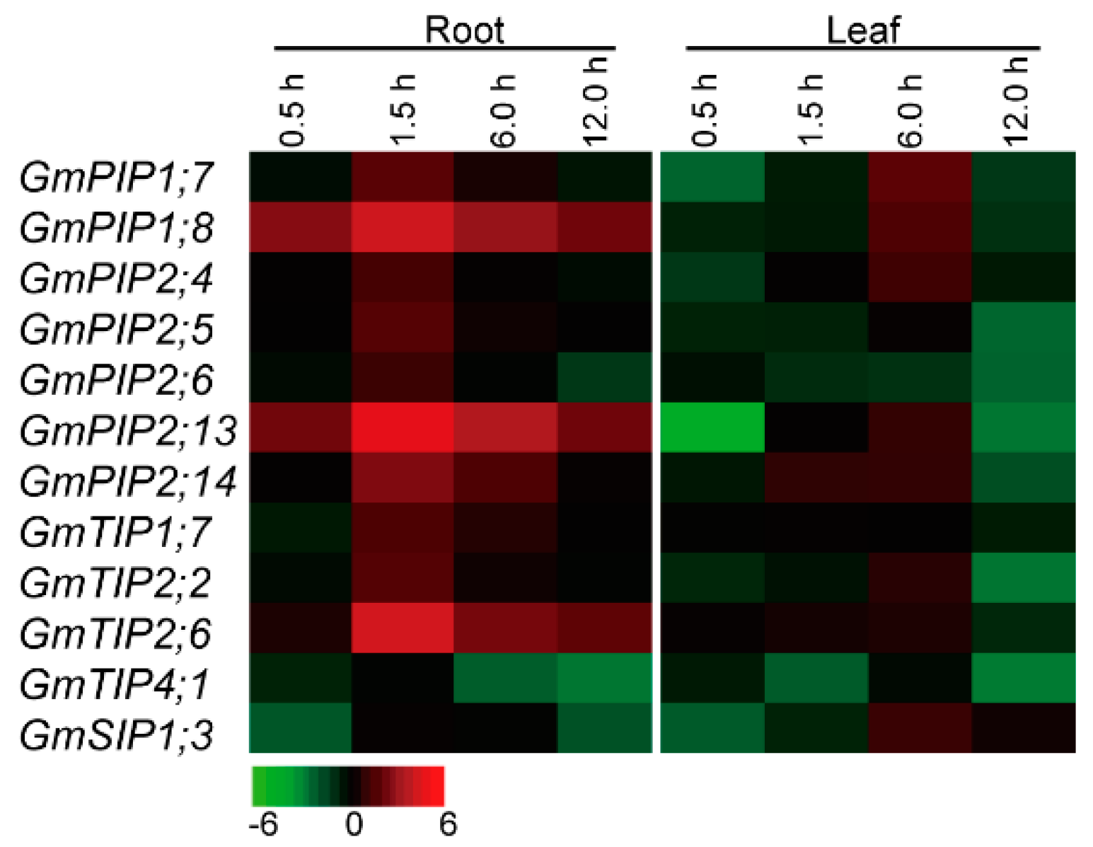 Ijms 20 00262 g004 Ijms 20 00262 g004