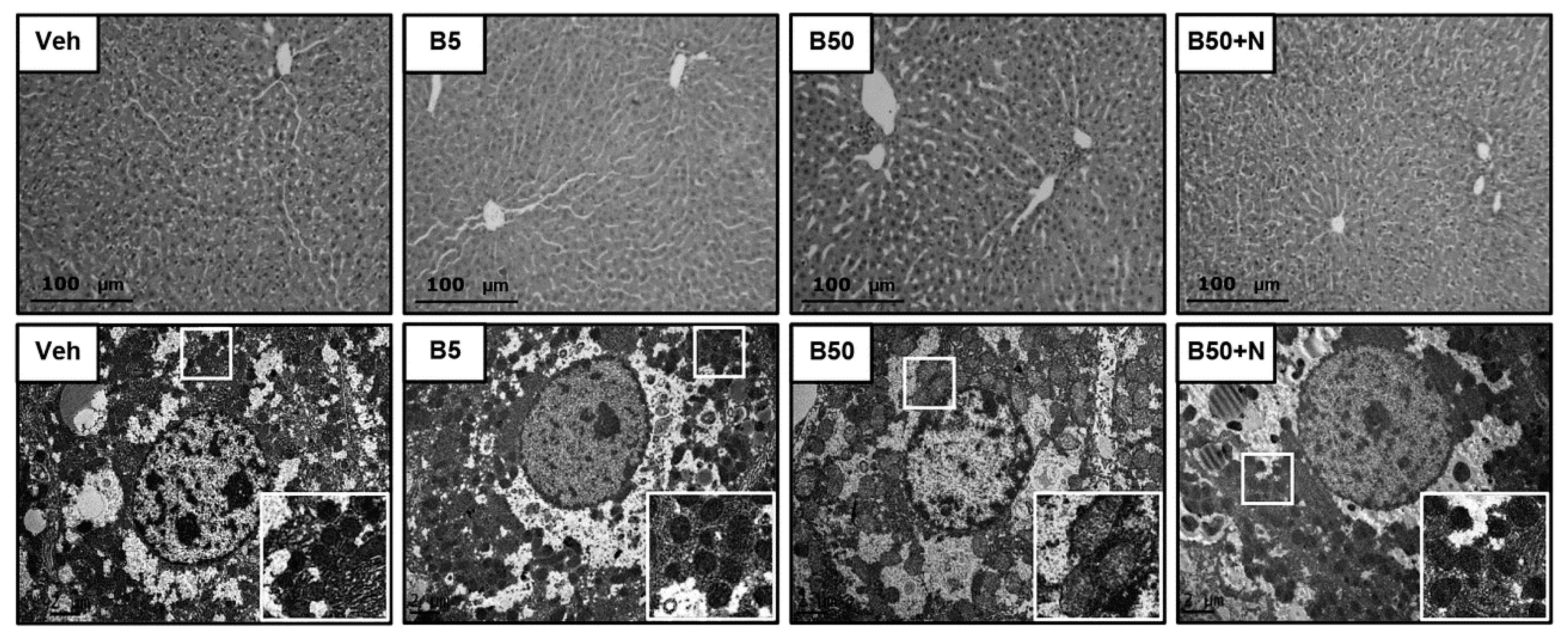 Ijms 20 00267 g002 Ijms 20 00267 g002