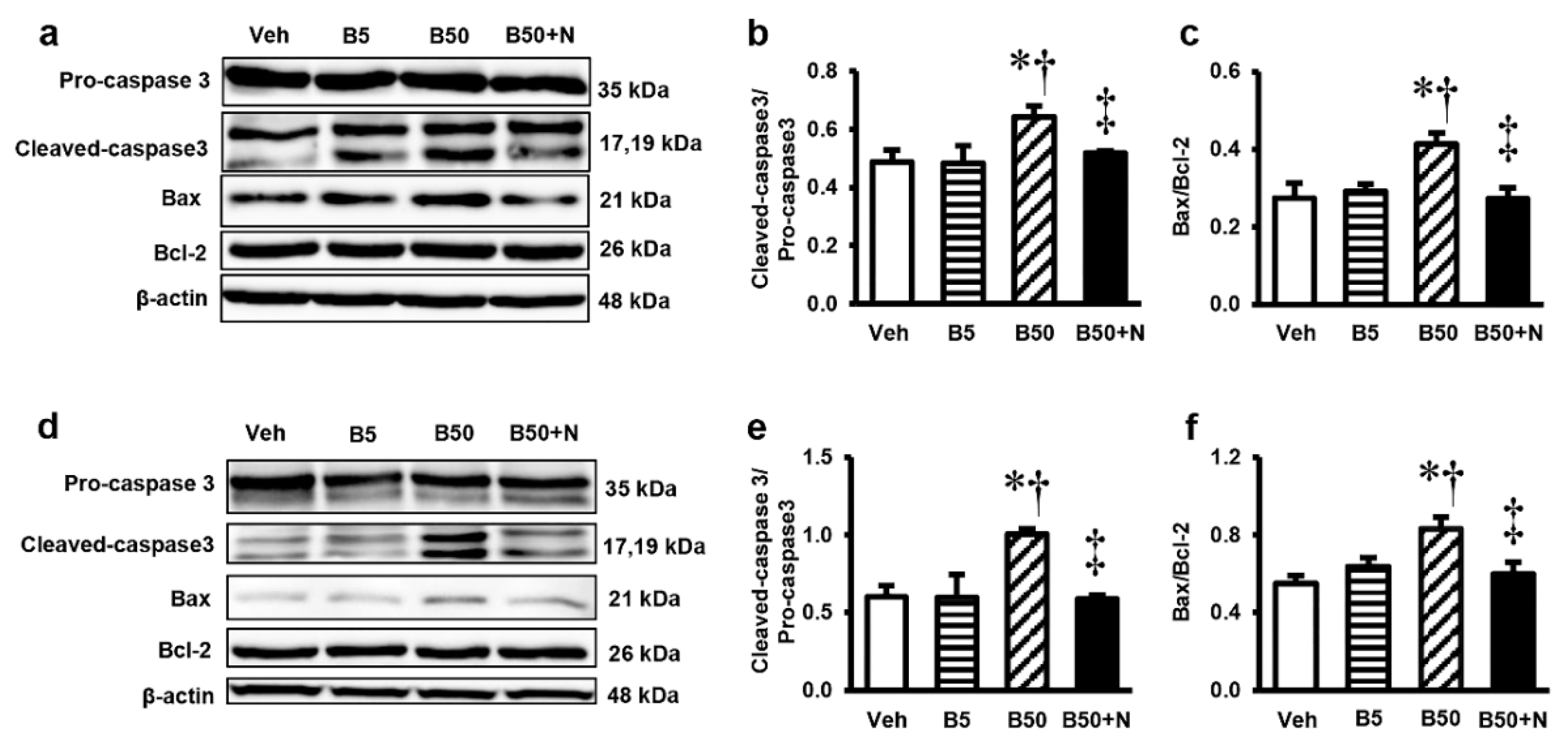 Ijms 20 00267 g005 Ijms 20 00267 g005