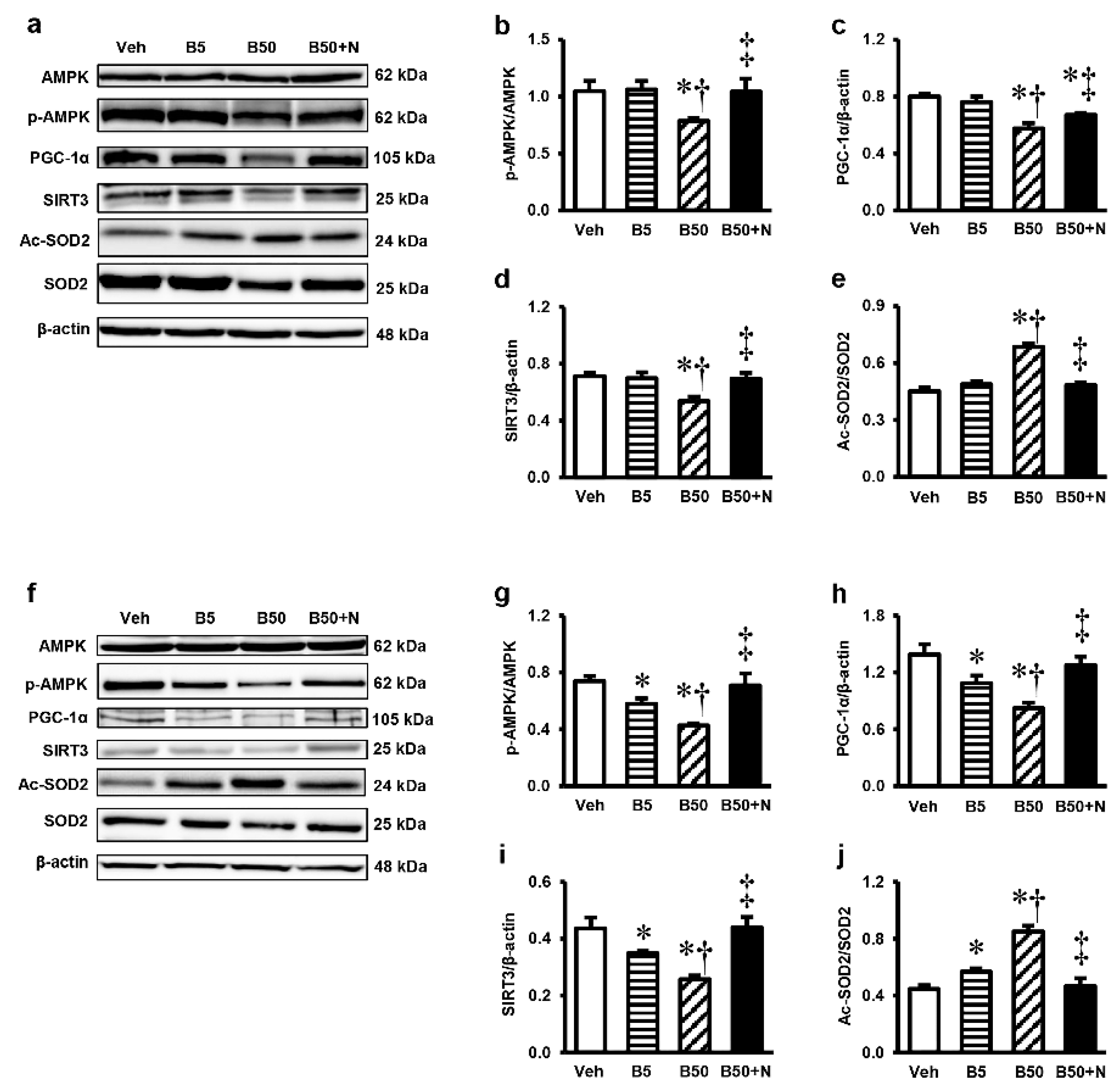 Ijms 20 00267 g006 Ijms 20 00267 g006