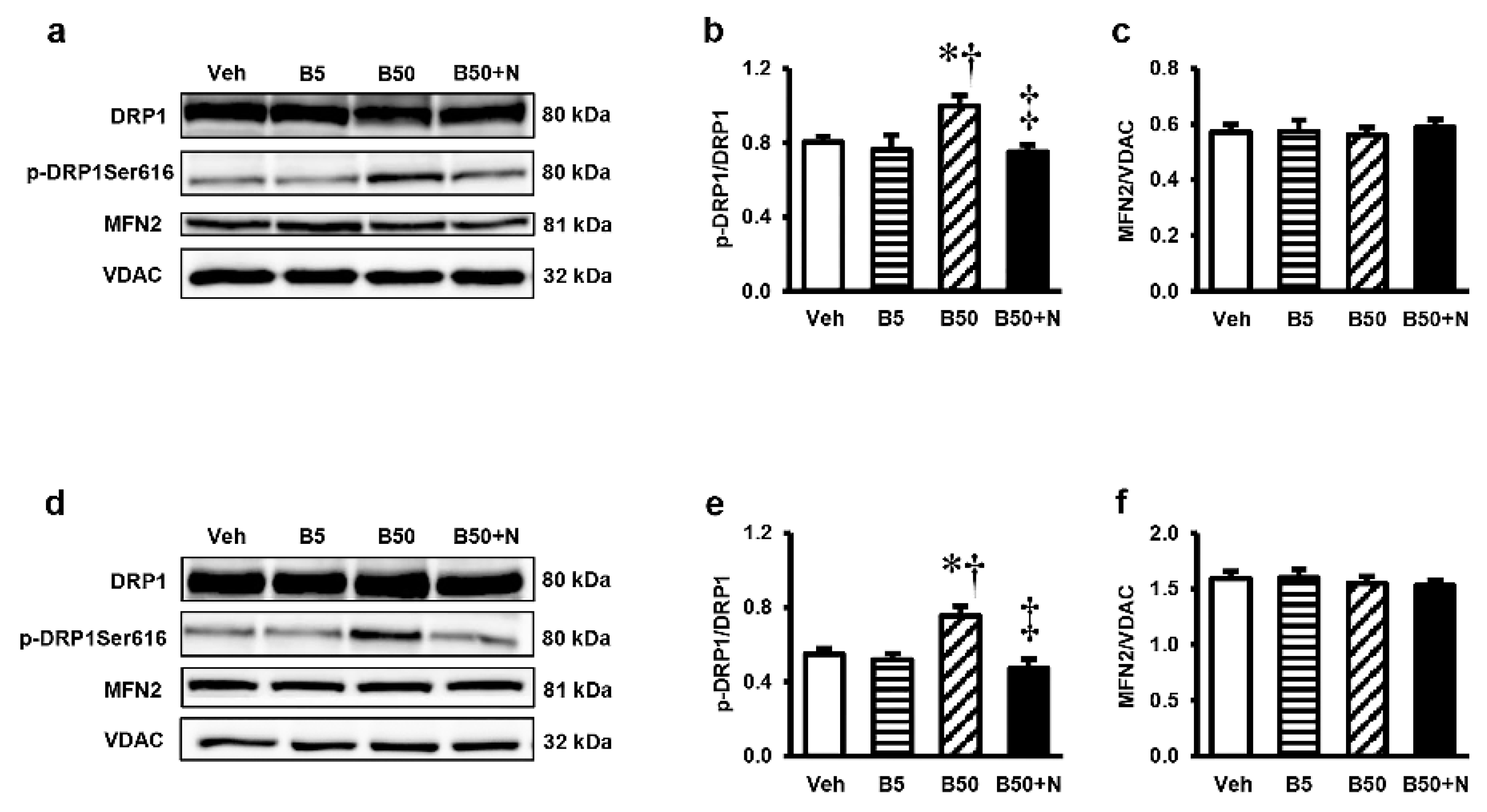 Ijms 20 00267 g007 Ijms 20 00267 g007