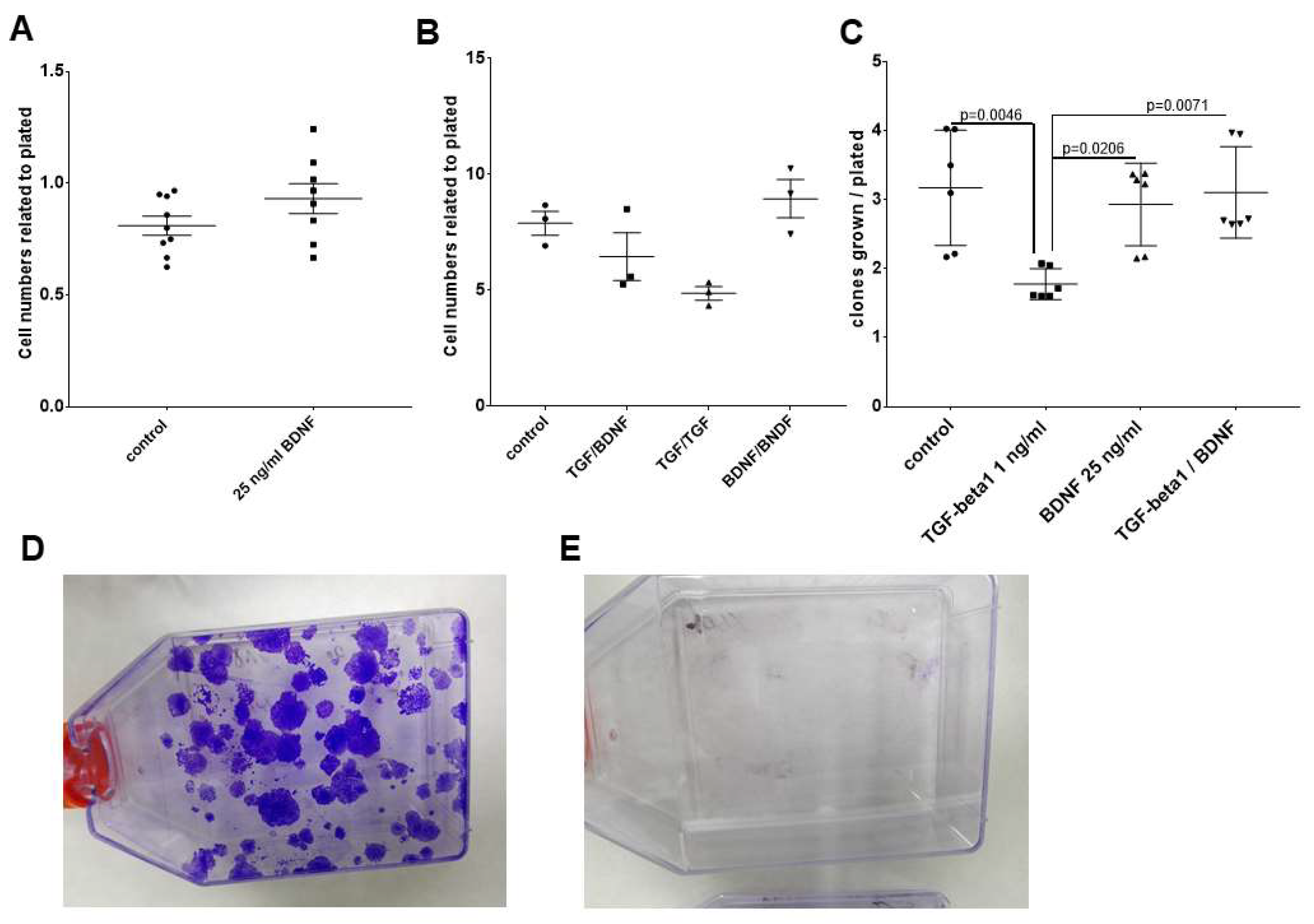 Ijms 20 00272 g005 Ijms 20 00272 g005