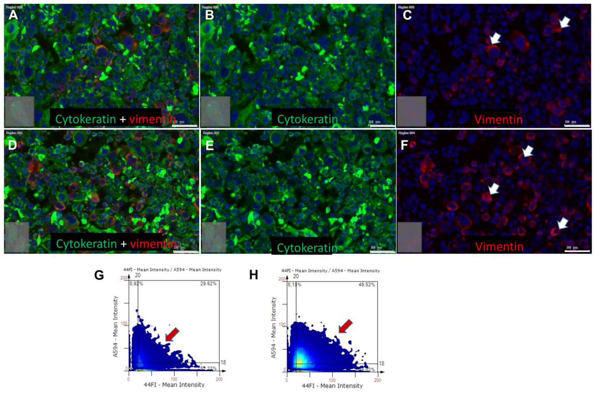 Ijms 20 00272 g006 Ijms 20 00272 g006