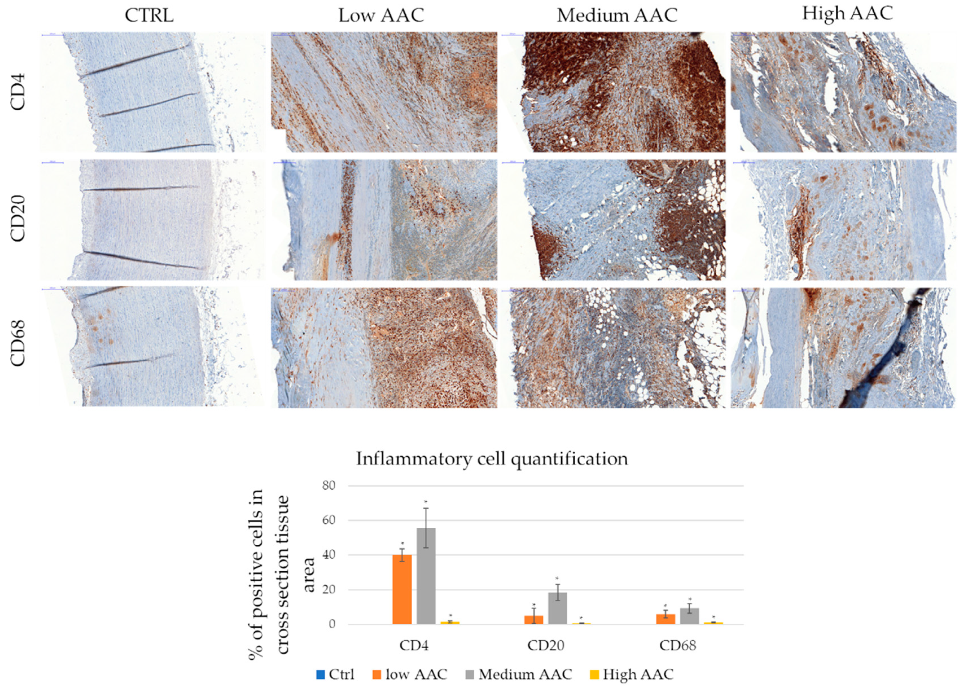 Ijms 20 00287 g002 Ijms 20 00287 g002
