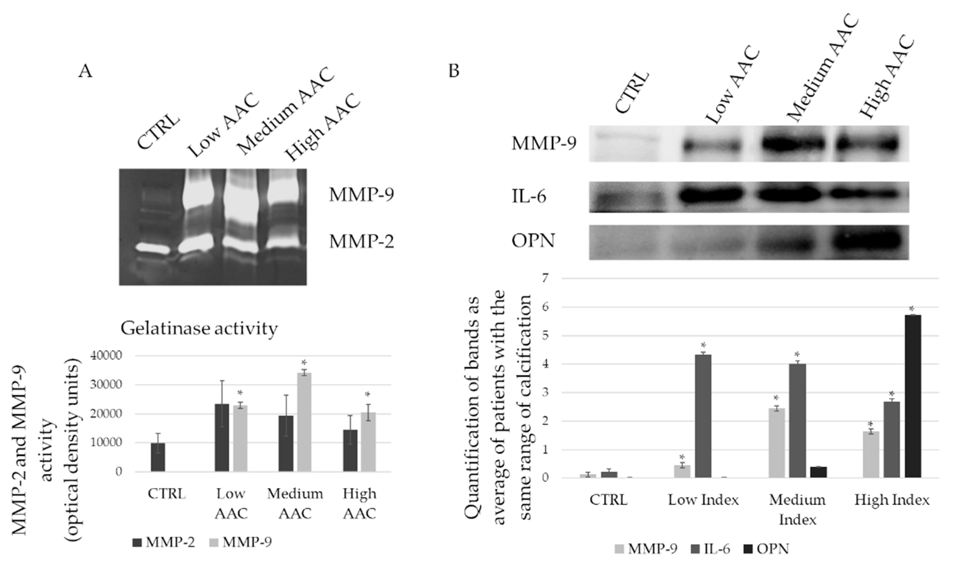 Ijms 20 00287 g003 Ijms 20 00287 g003