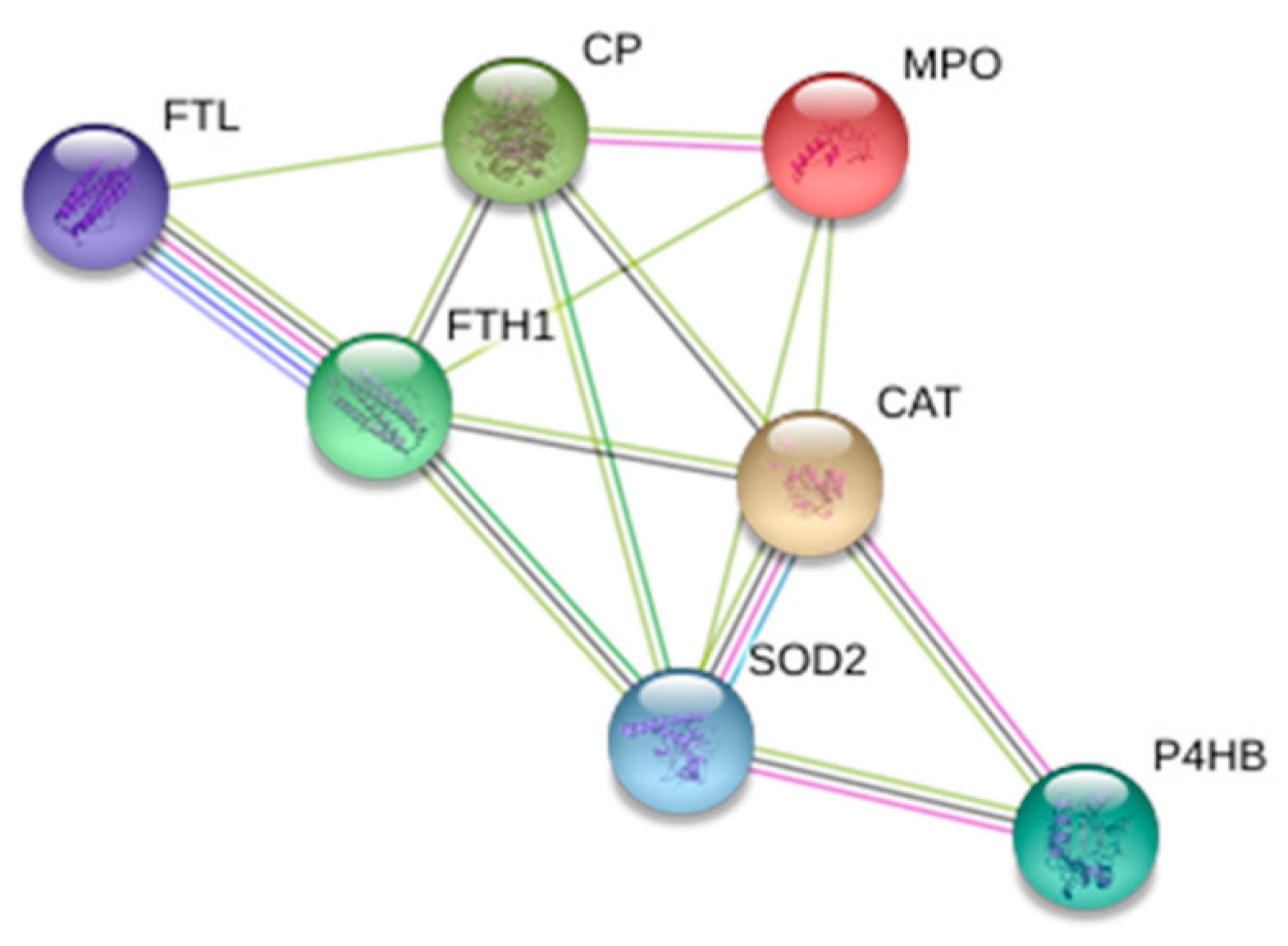 Ijms 20 00287 g004 Ijms 20 00287 g004