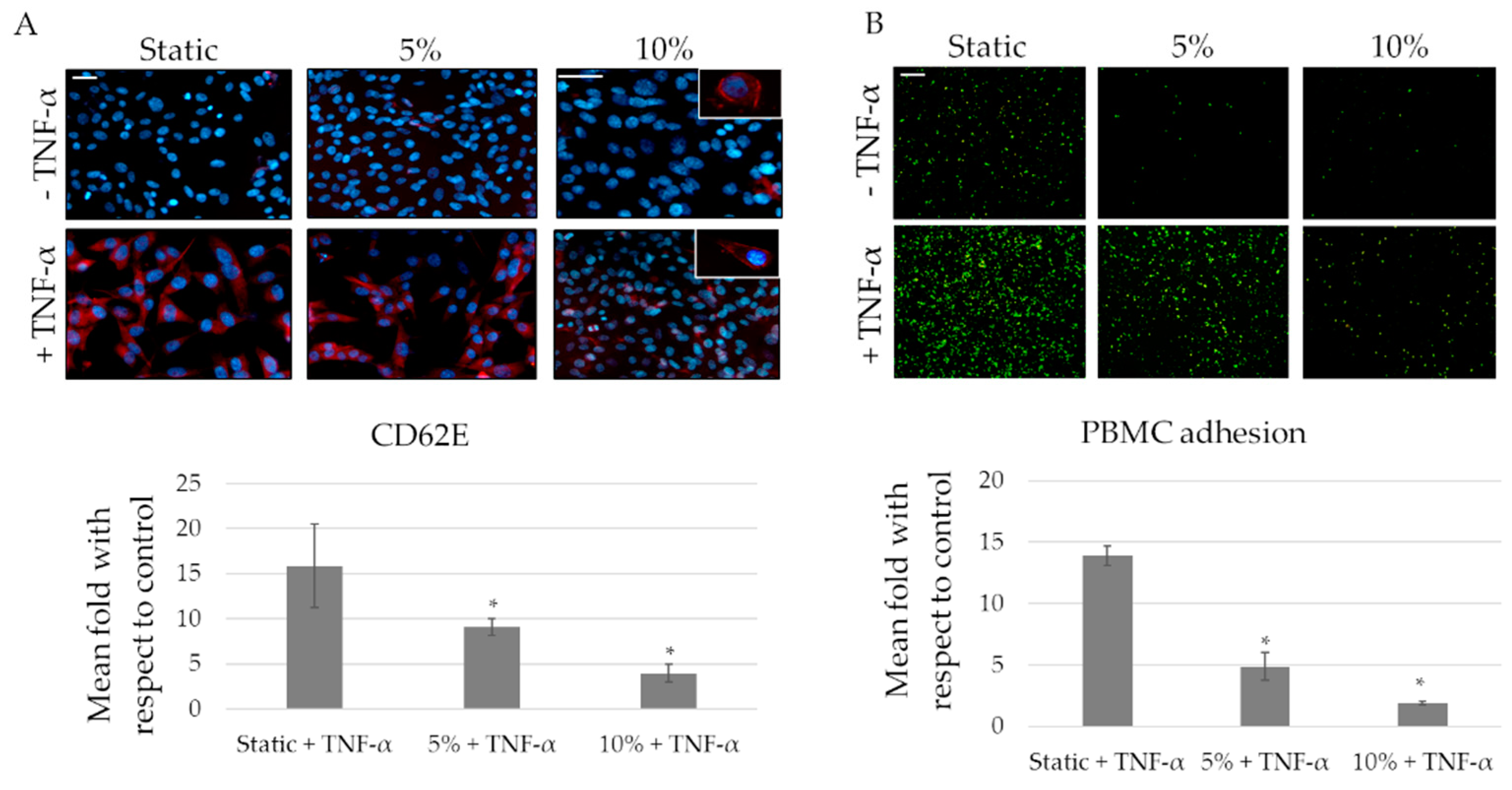 Ijms 20 00287 g006 Ijms 20 00287 g006