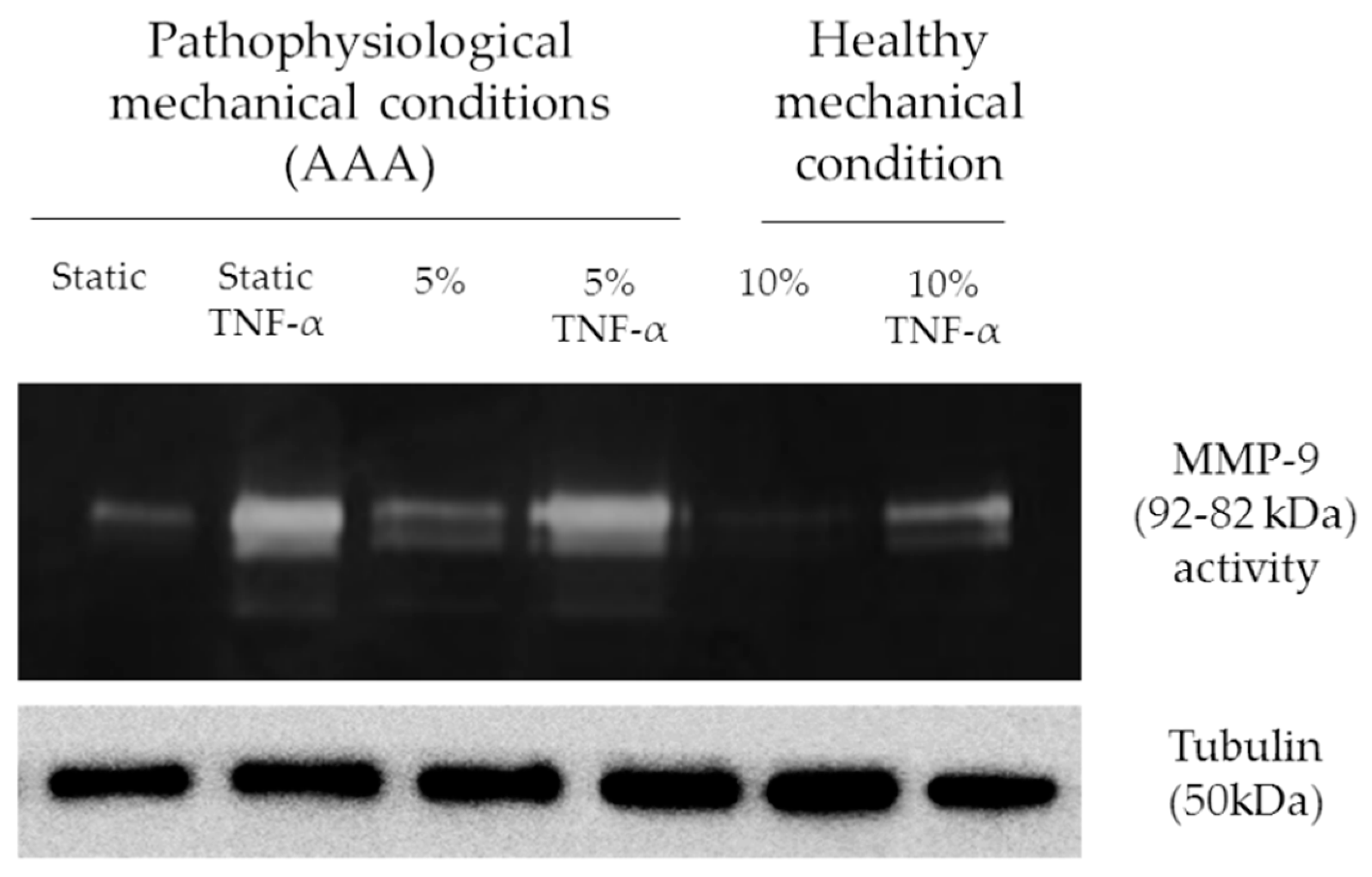 Ijms 20 00287 g007 Ijms 20 00287 g007