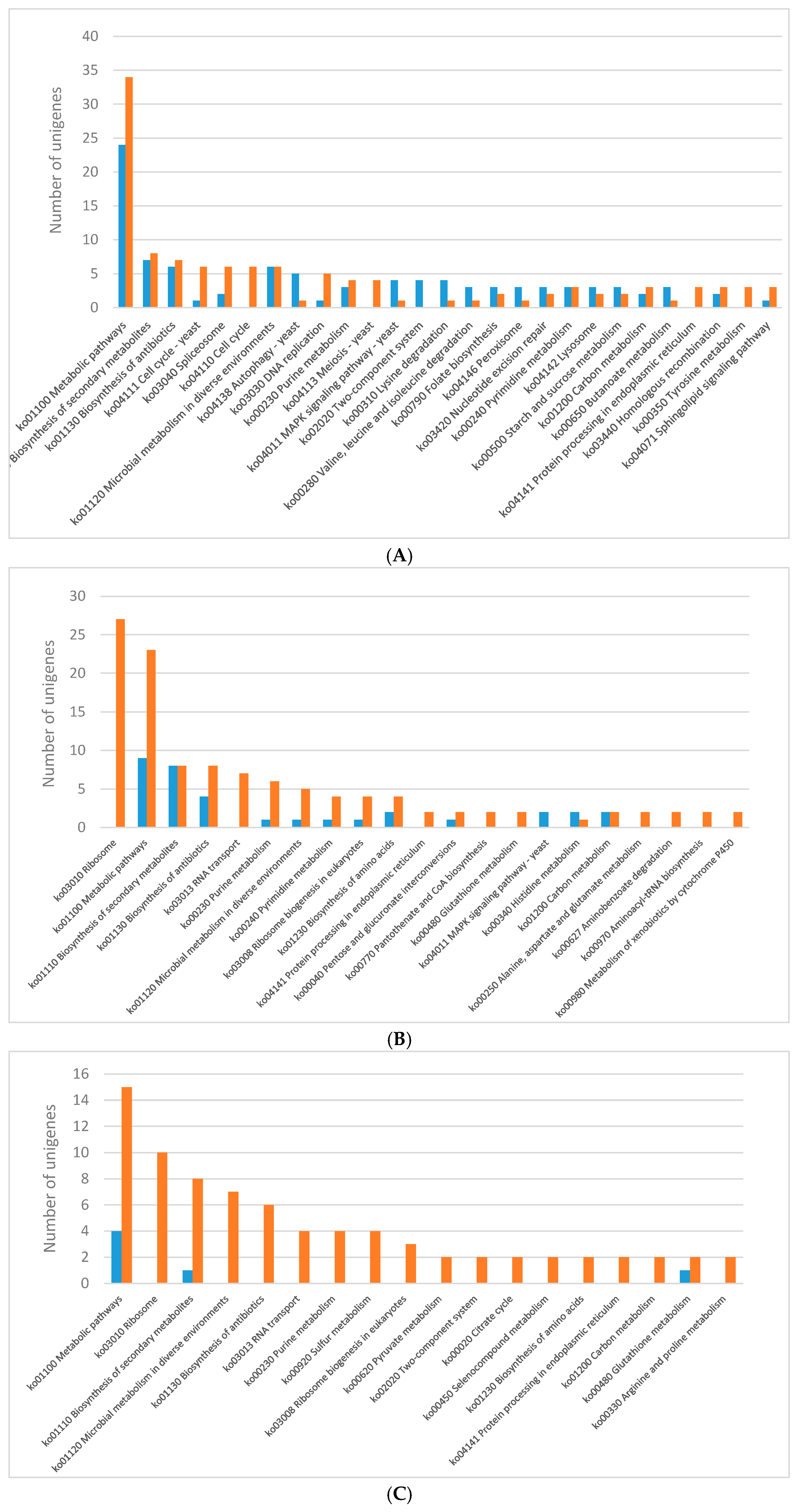 Ijms 20 00290 g002a Ijms 20 00290 g002a