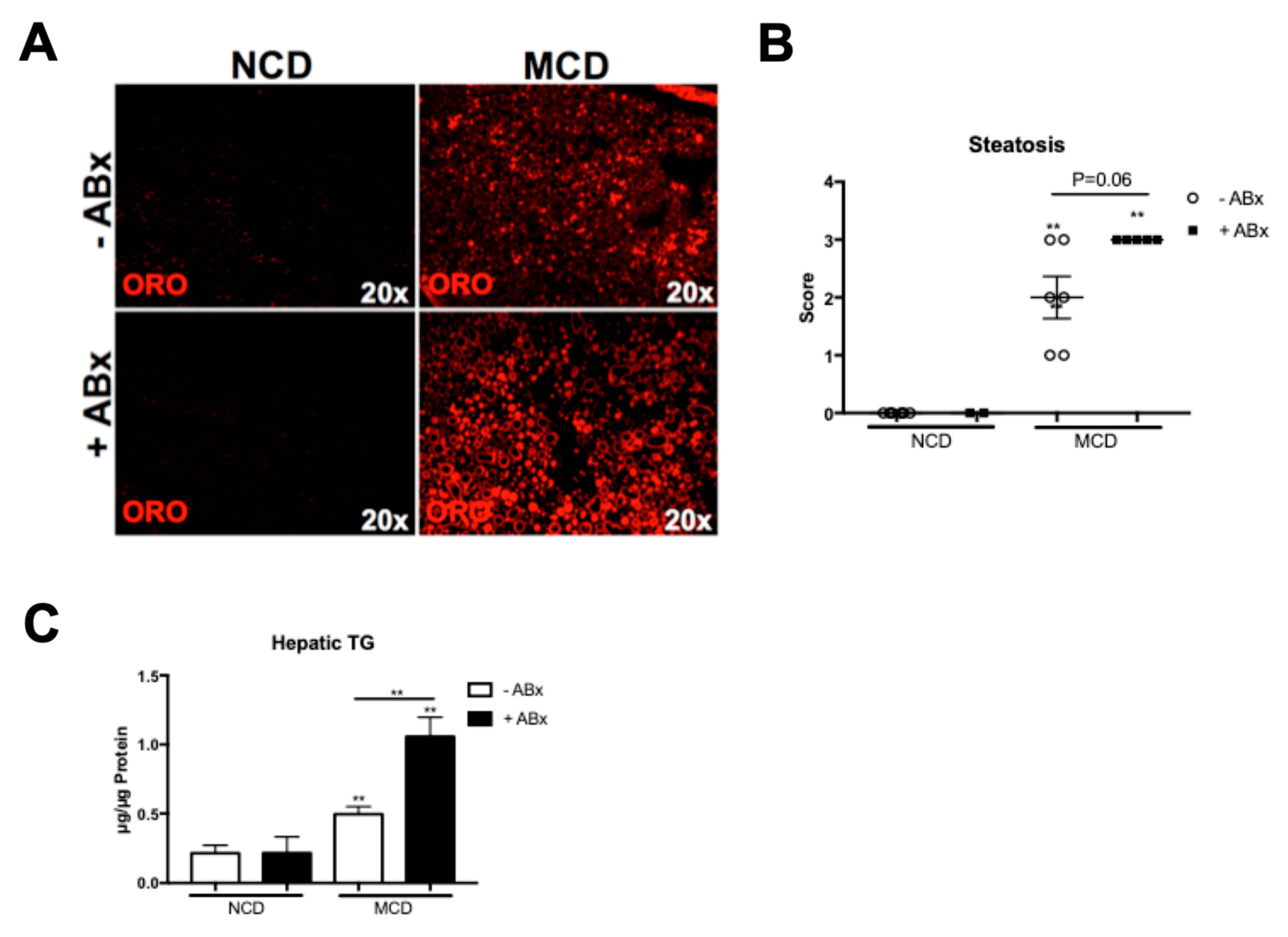 Ijms 20 00308 g002 Ijms 20 00308 g002