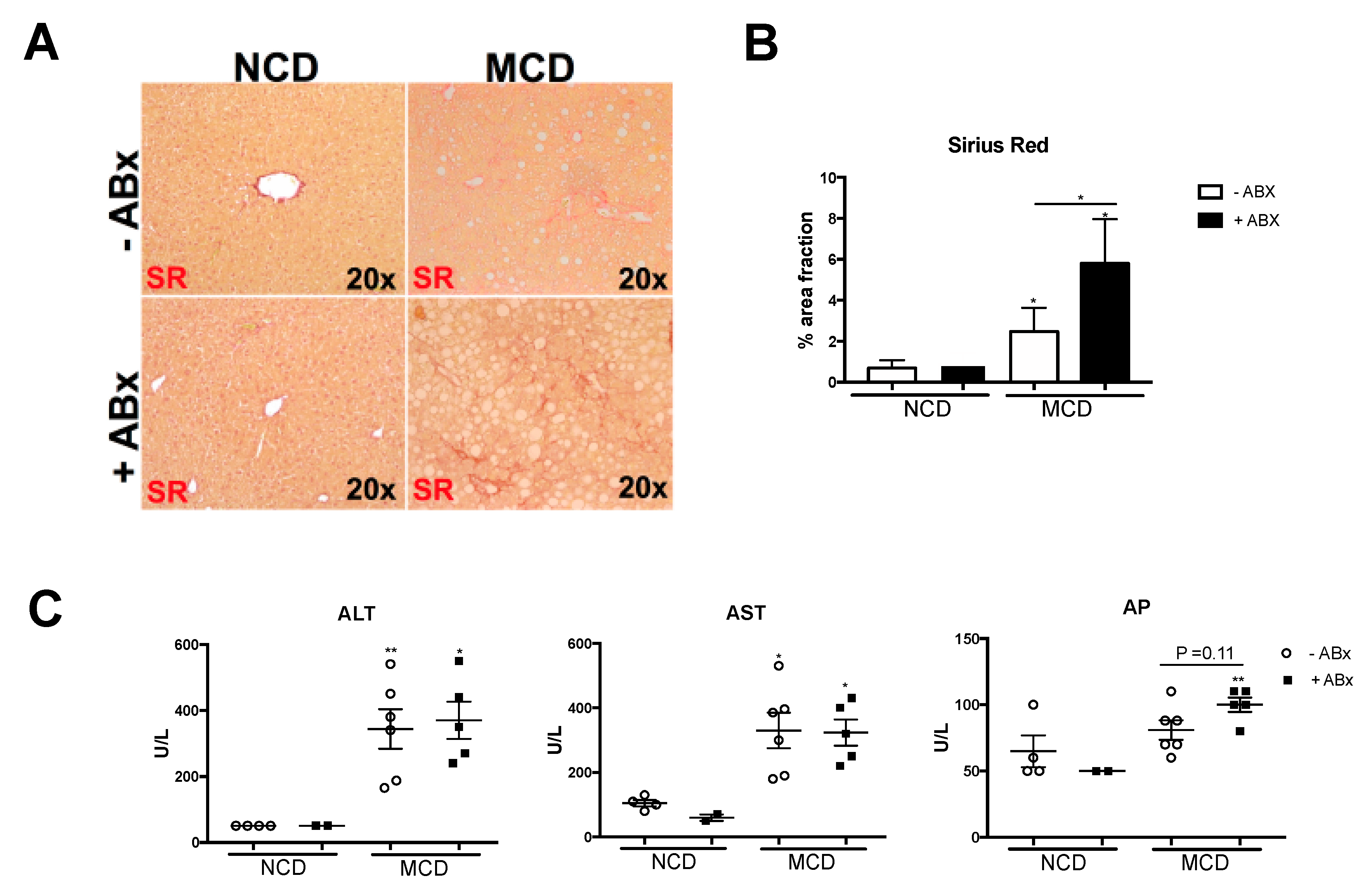 Ijms 20 00308 g004 Ijms 20 00308 g004