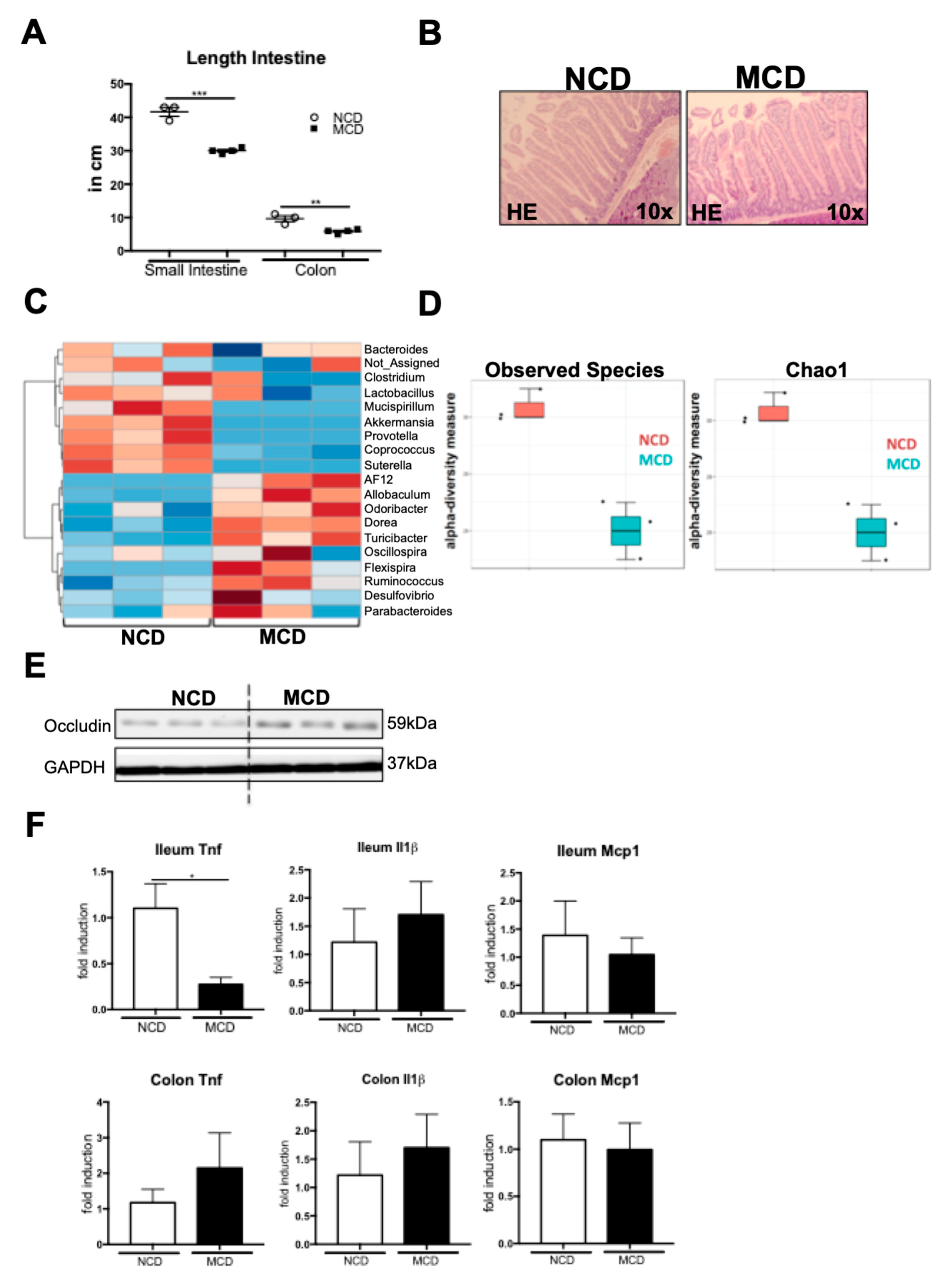 Ijms 20 00308 g005 Ijms 20 00308 g005