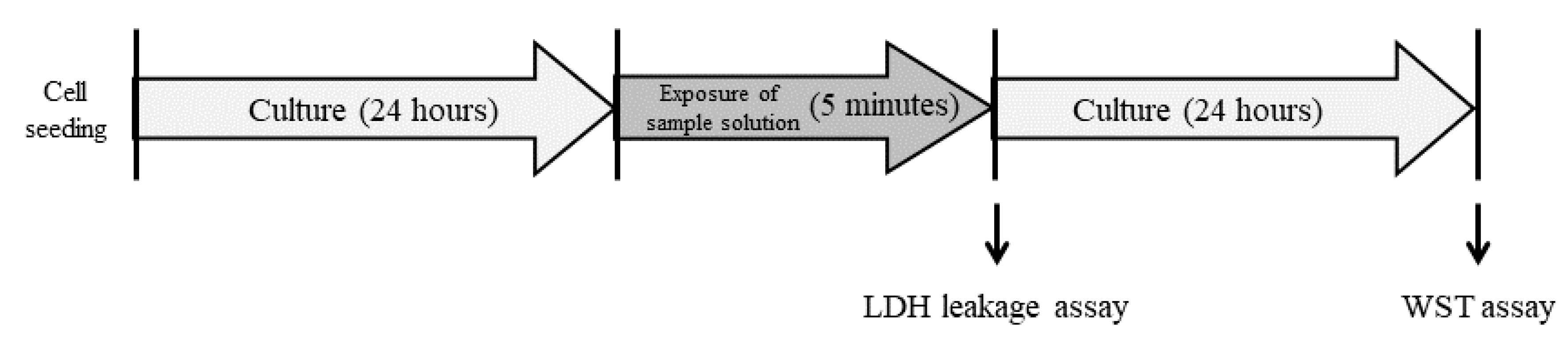 Ijms 20 00312 g008 Ijms 20 00312 g008