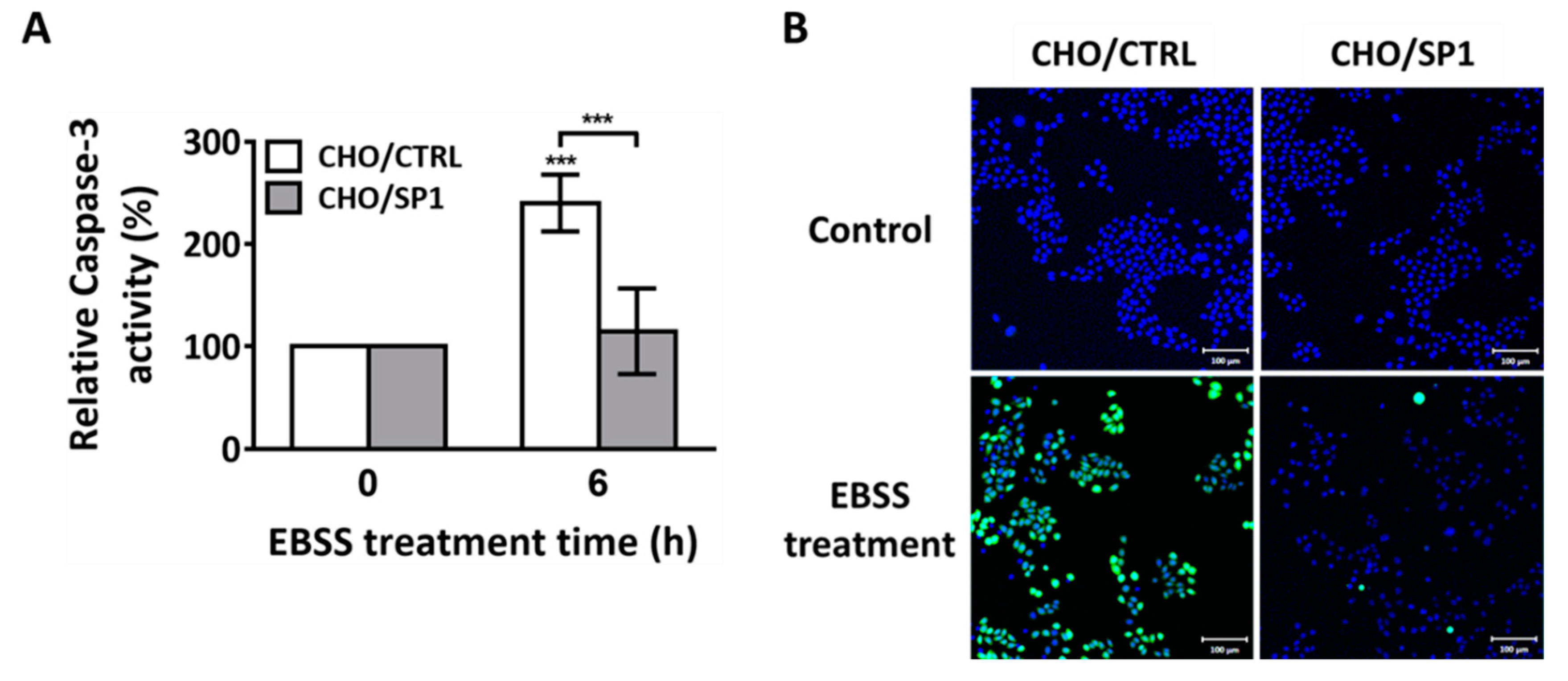 Ijms 20 00318 g002 Ijms 20 00318 g002