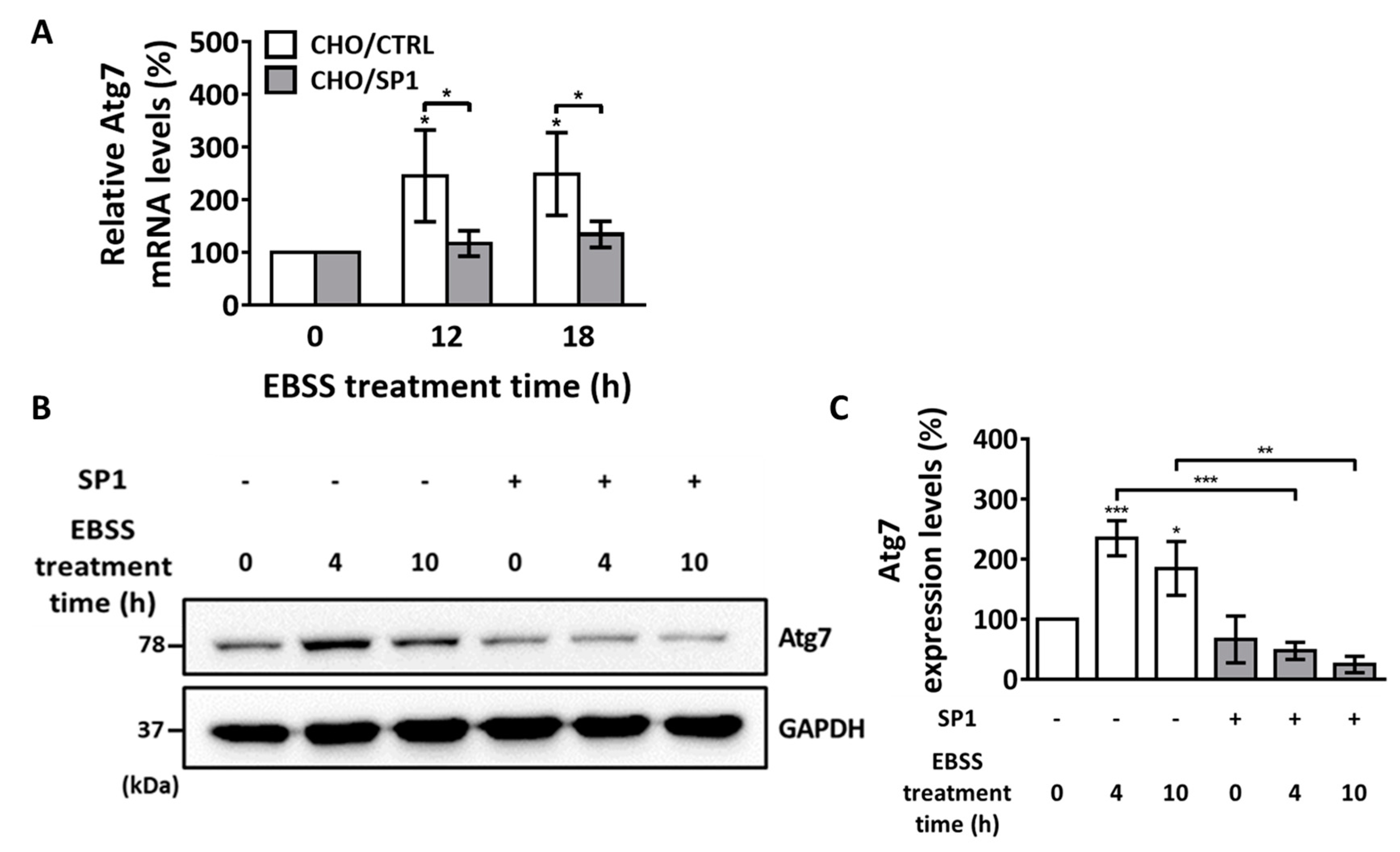 Ijms 20 00318 g004 Ijms 20 00318 g004