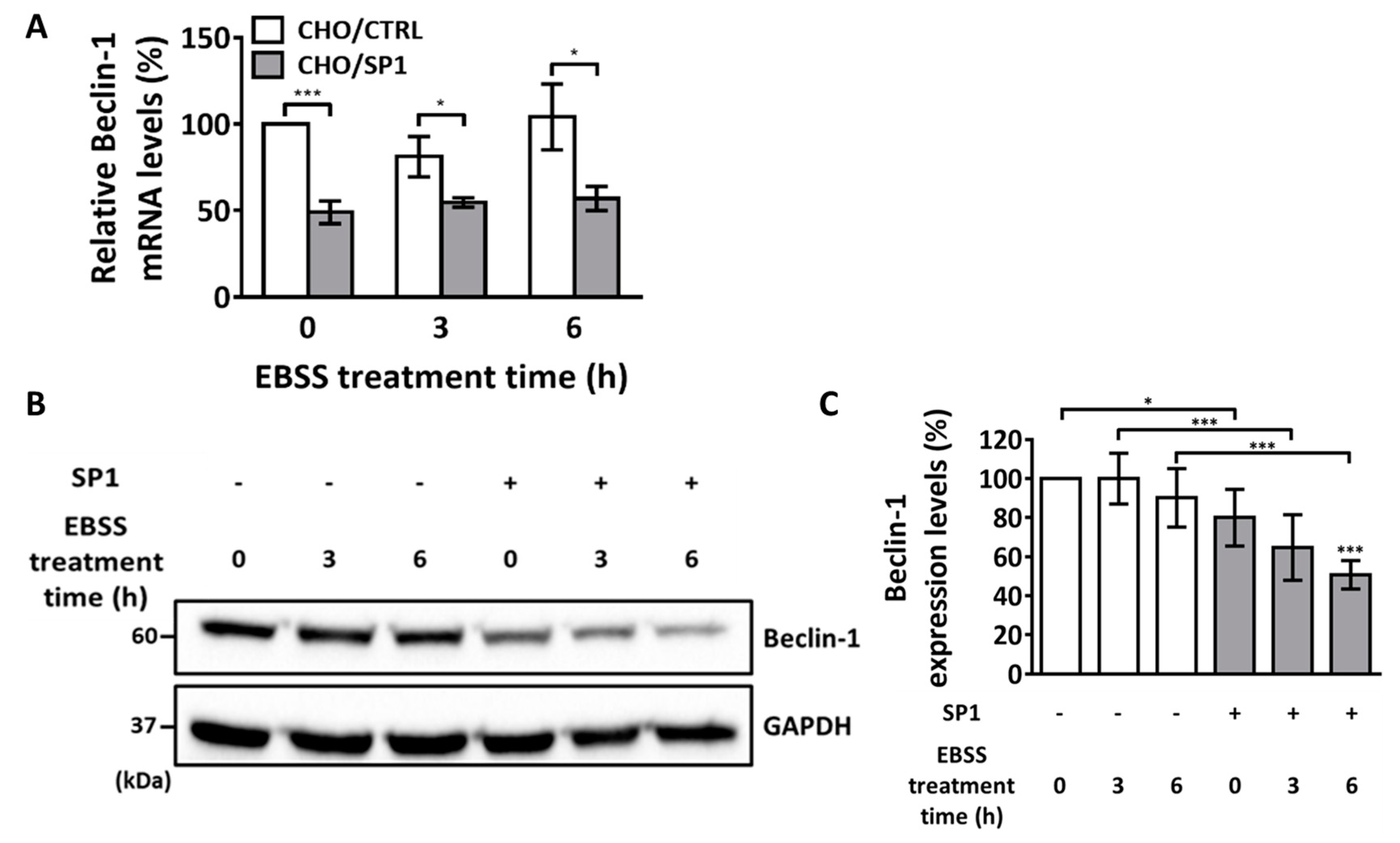 Ijms 20 00318 g005 Ijms 20 00318 g005