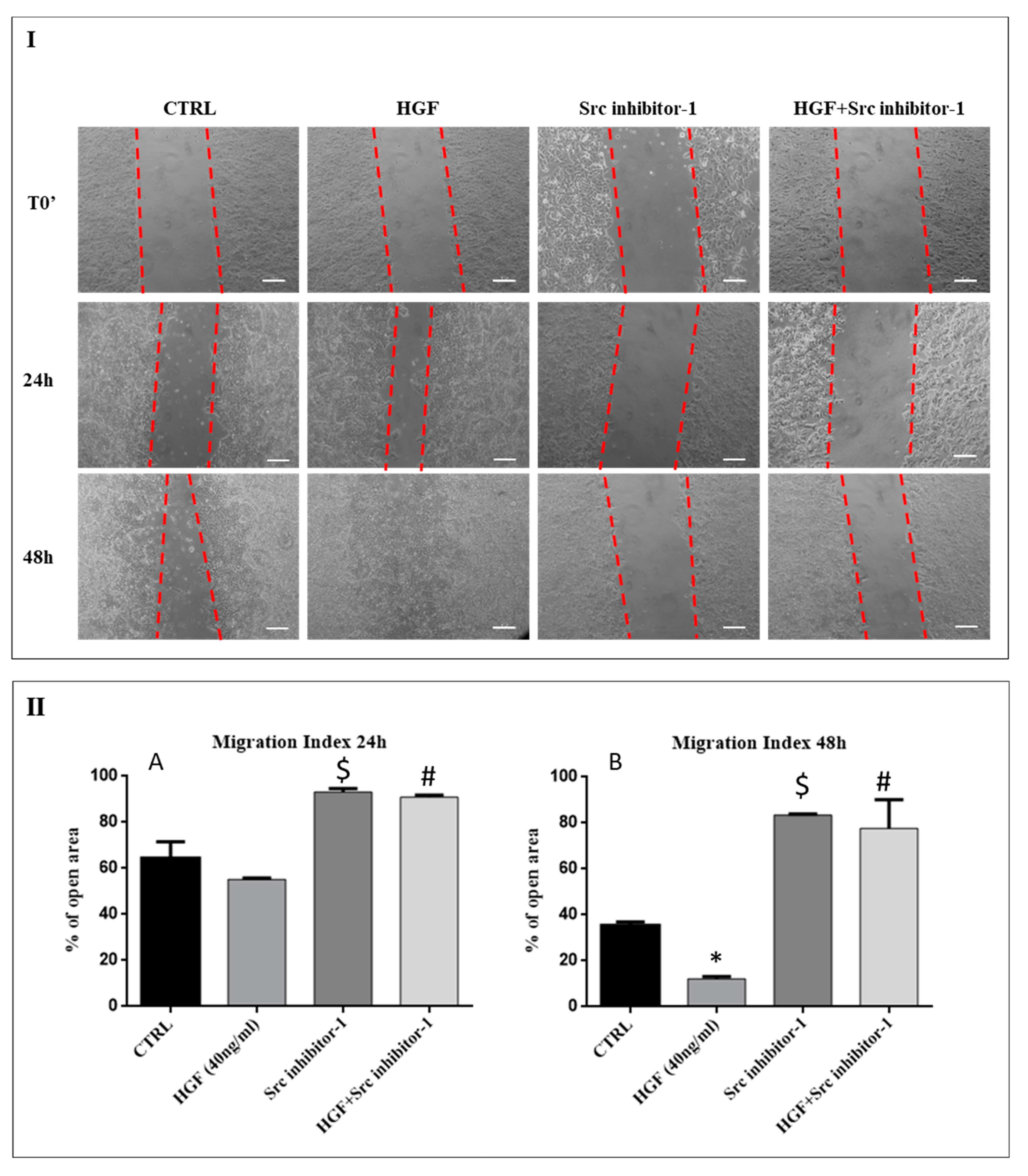 Ijms 20 00320 g005 Ijms 20 00320 g005