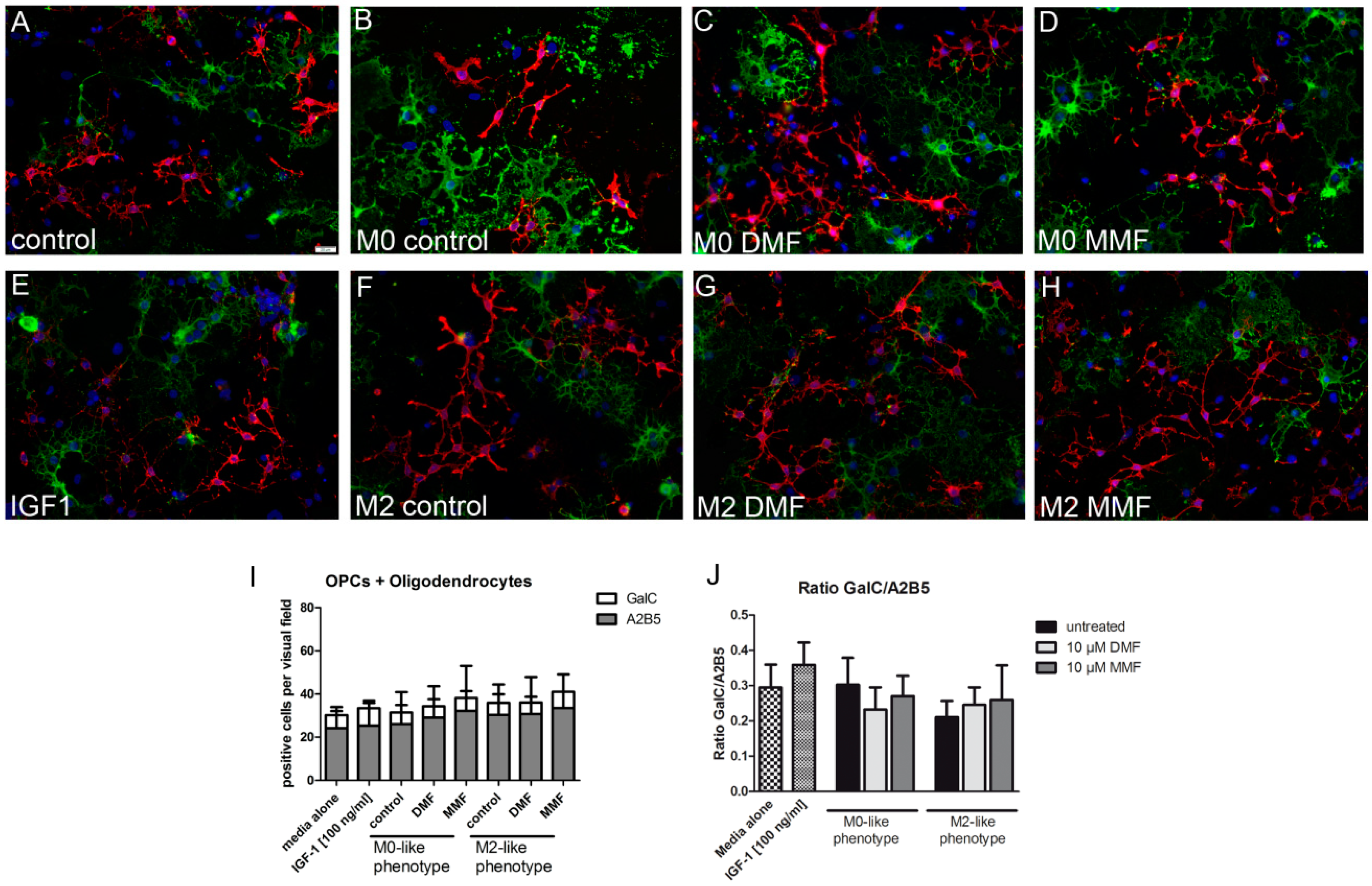 Ijms 20 00325 g004 Ijms 20 00325 g004