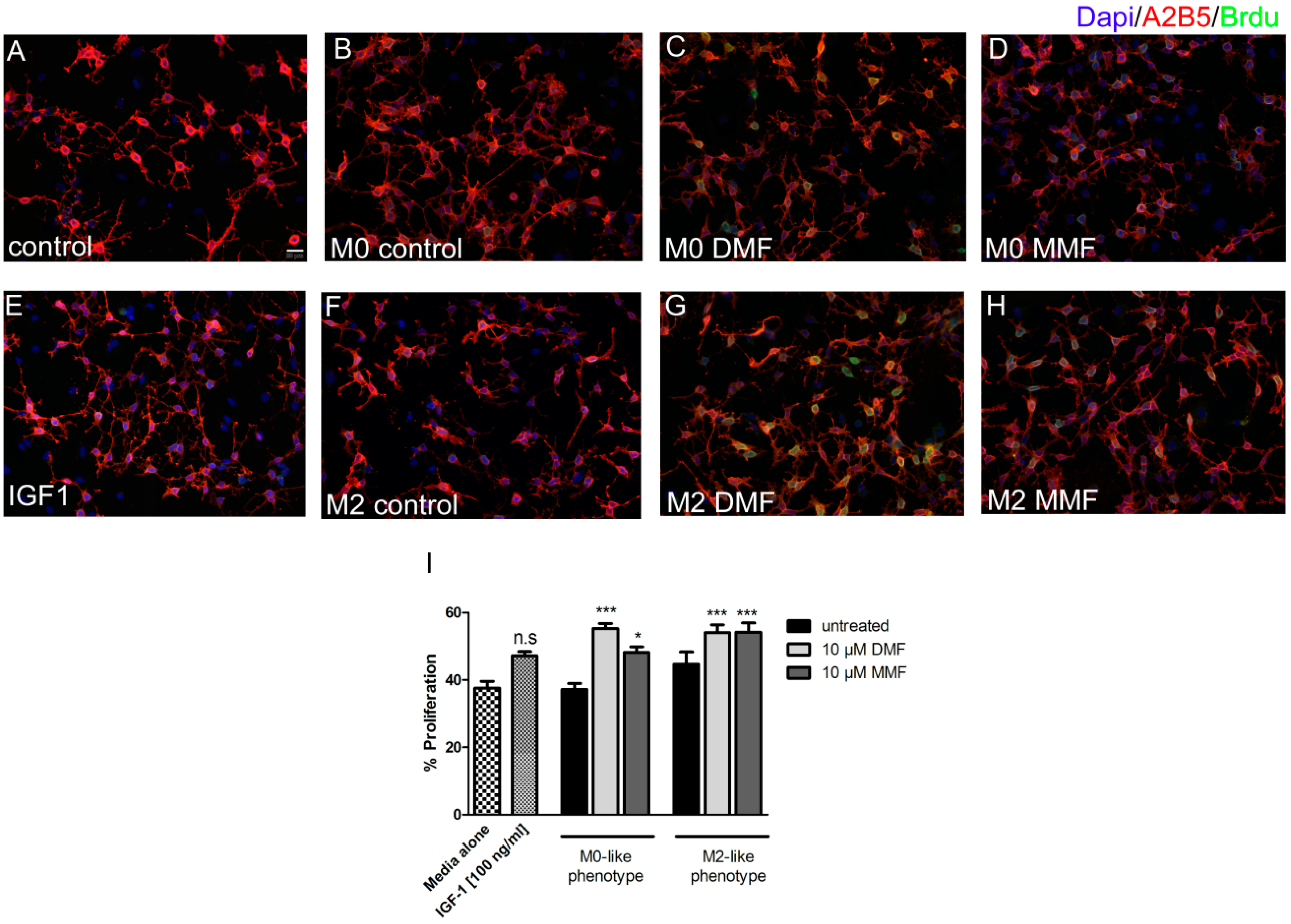 Ijms 20 00325 g005 Ijms 20 00325 g005