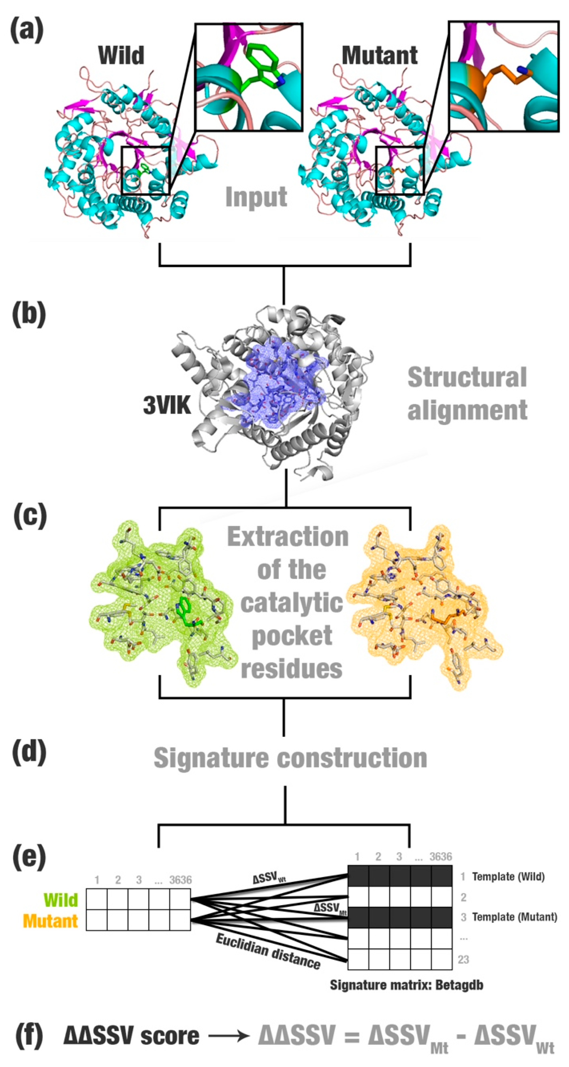 Ijms 20 00333 g001 Ijms 20 00333 g001