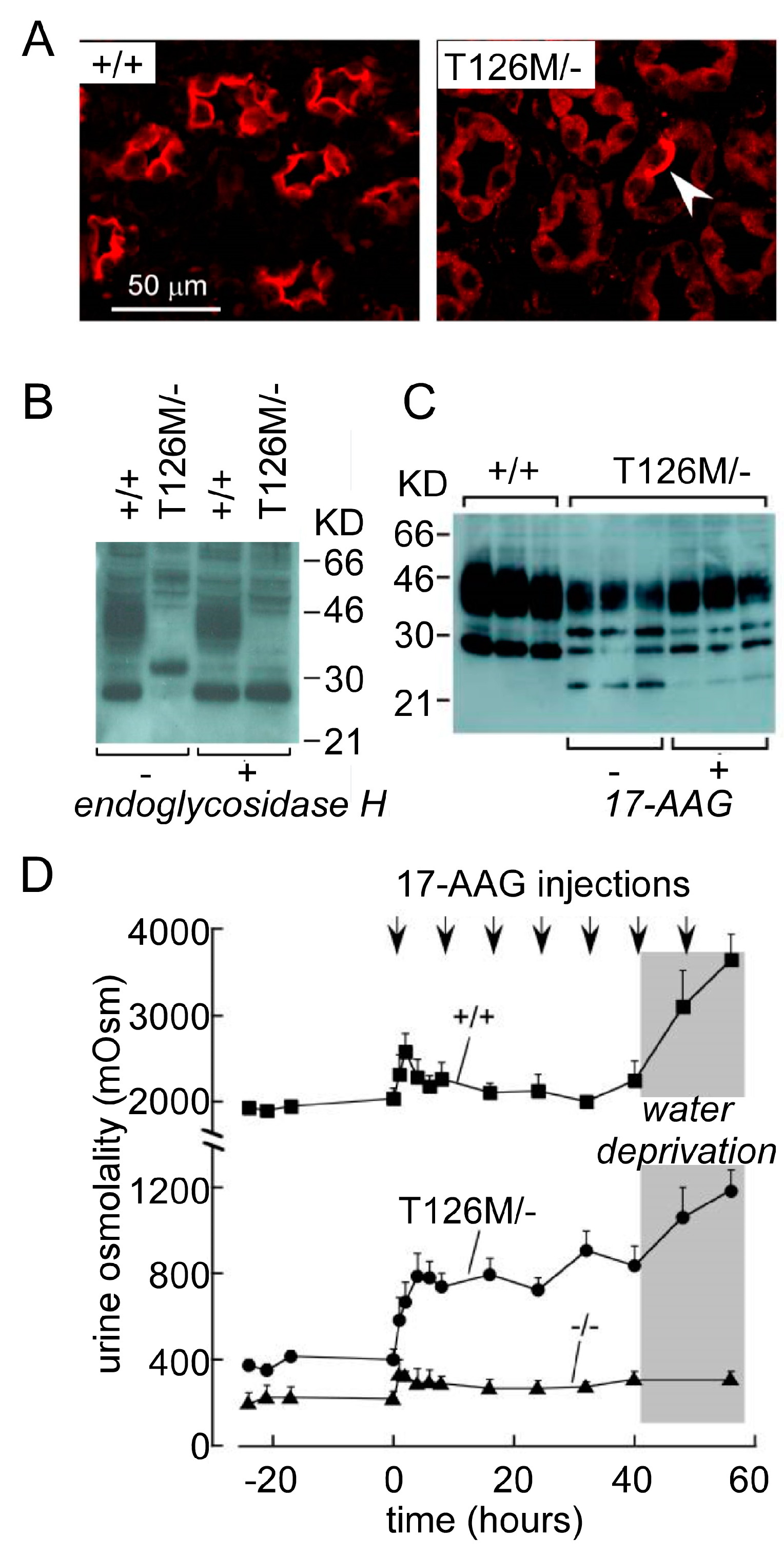 Ijms 20 00366 g003 Ijms 20 00366 g003