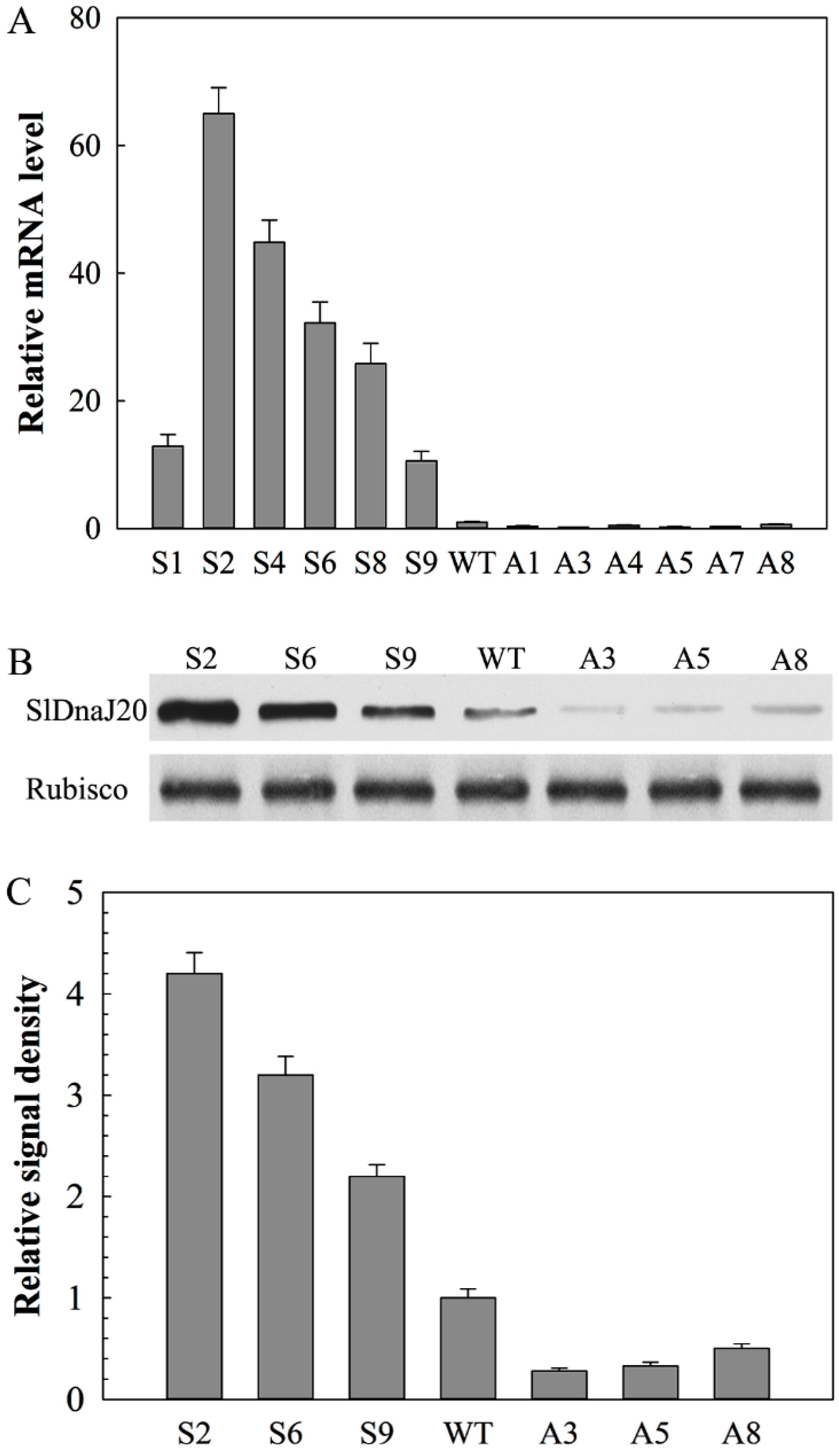 Ijms 20 00367 g005