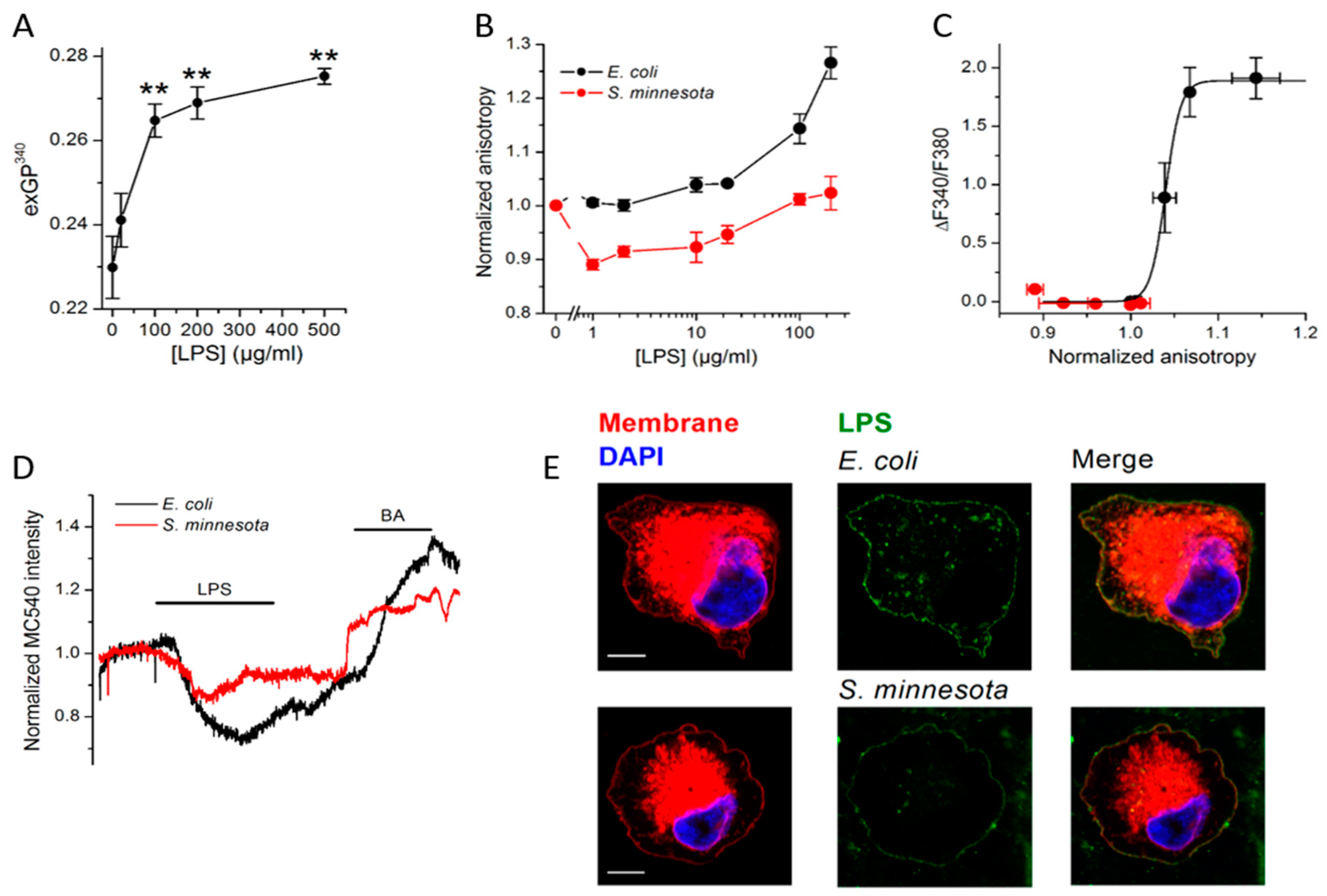 Ijms 20 00371 g006 Ijms 20 00371 g006