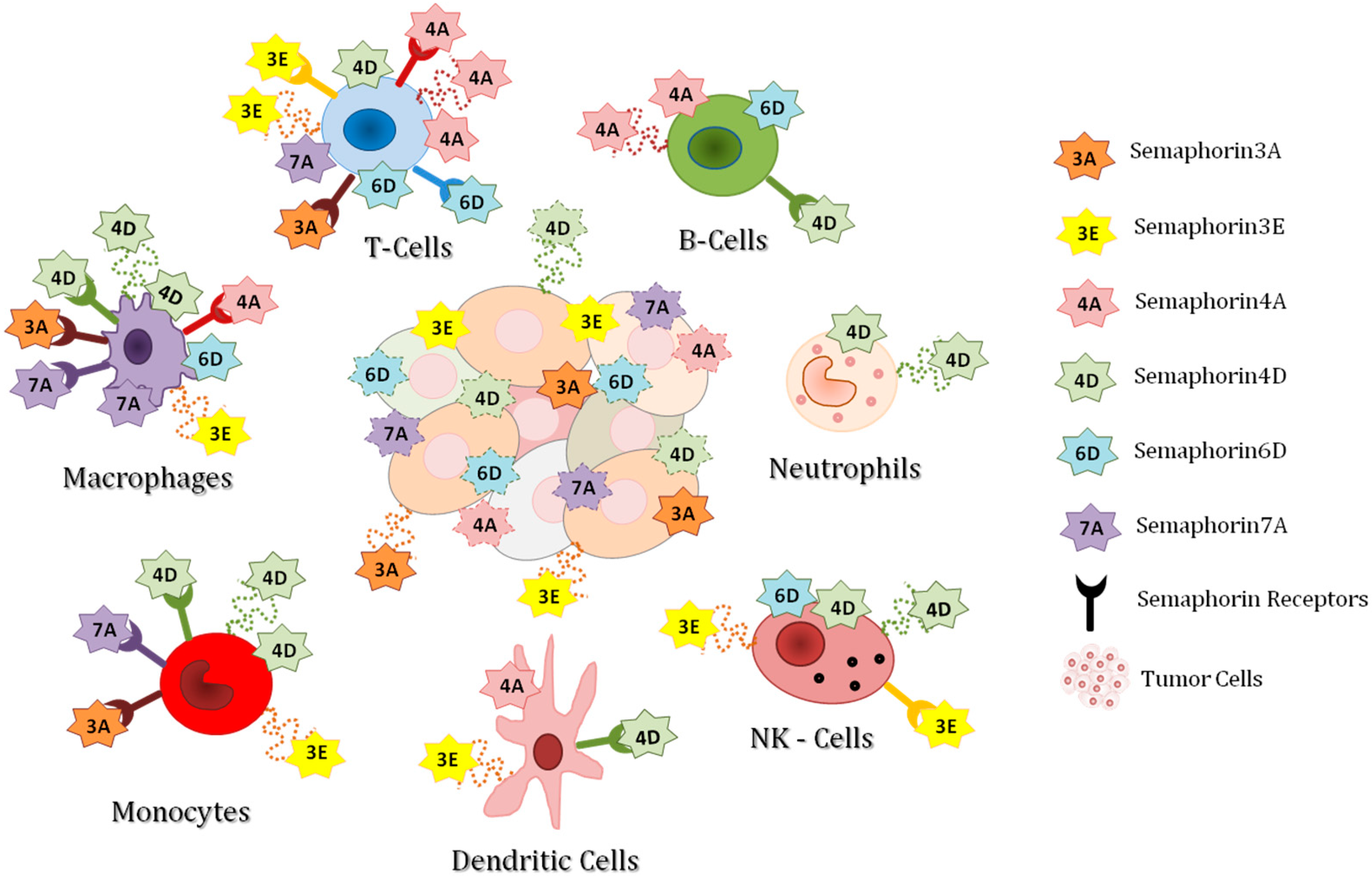 Ijms 20 00377 g001 Ijms 20 00377 g001