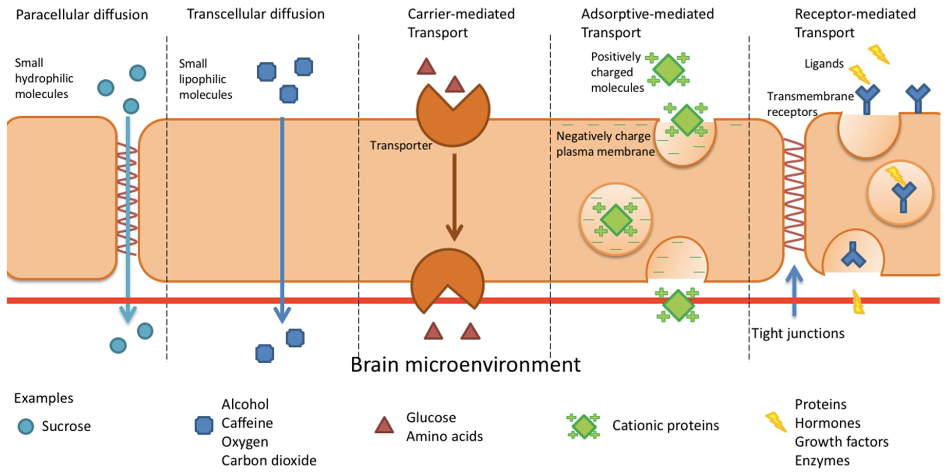 read mrcp part i