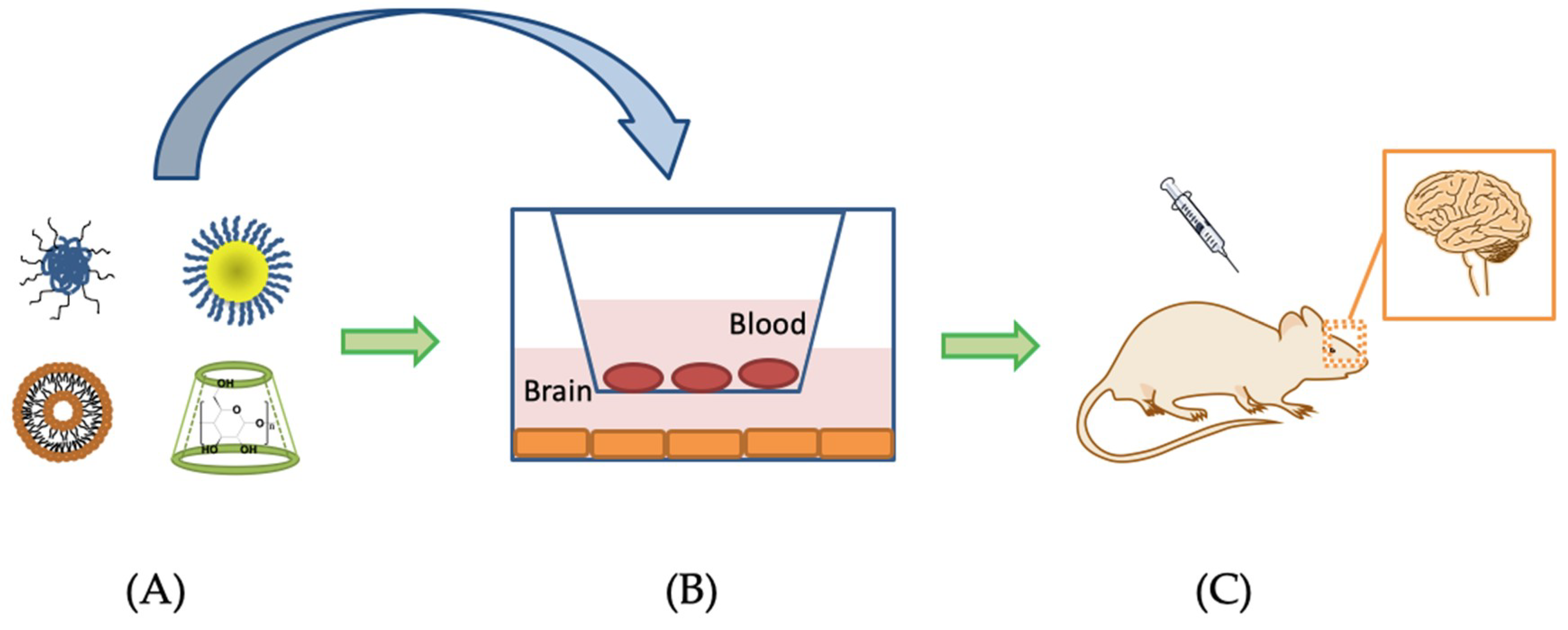 Ijms 20 00381 g003 Ijms 20 00381 g003