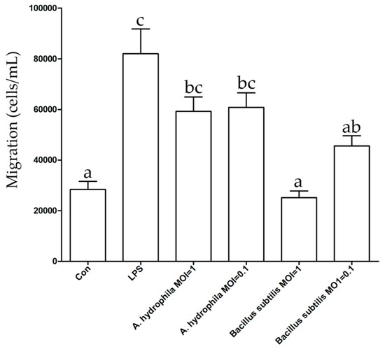 Ijms Free Full Text Regulatory Effect Of Bacillus Subtilis On Cytokines Of Dendritic Cells In Grass Carp Ctenopharyngodon Idella Html