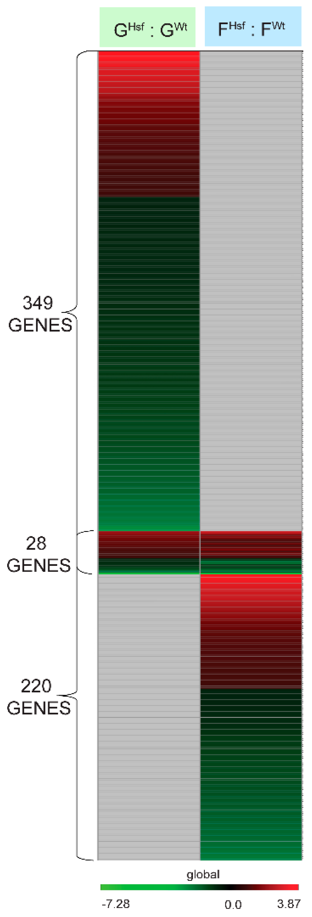 Ijms 20 00390 g004
