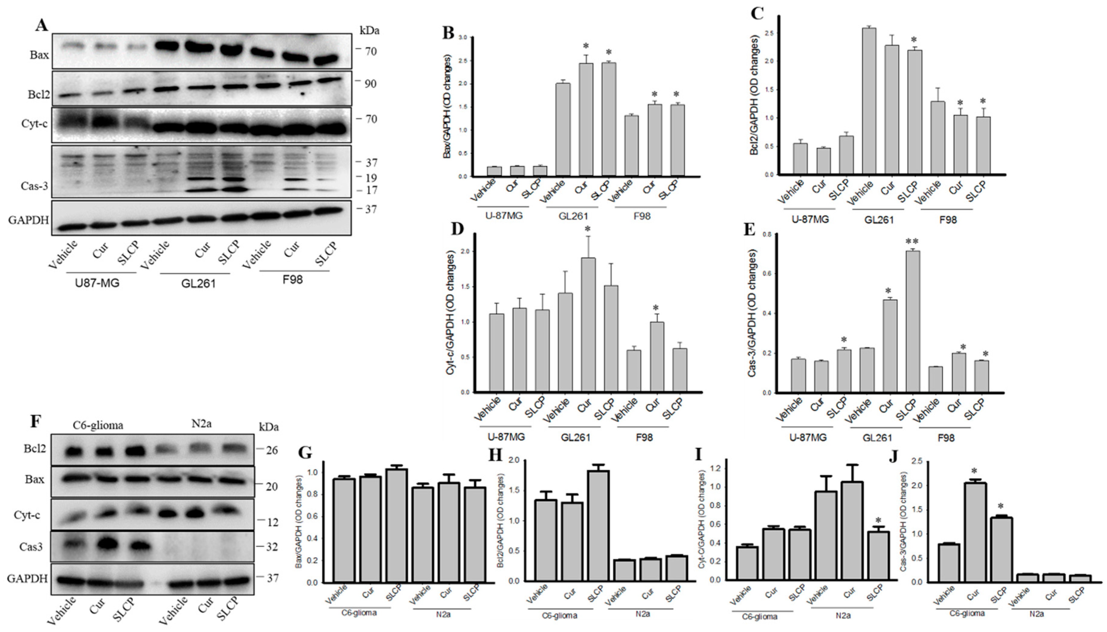 Combination treatment of berberine and solid lipid curcumin particles  increased cell death and inhibited PI3K/Akt/mTOR pathway of human cultured  glioblastoma cells more effectively than did individual treatments