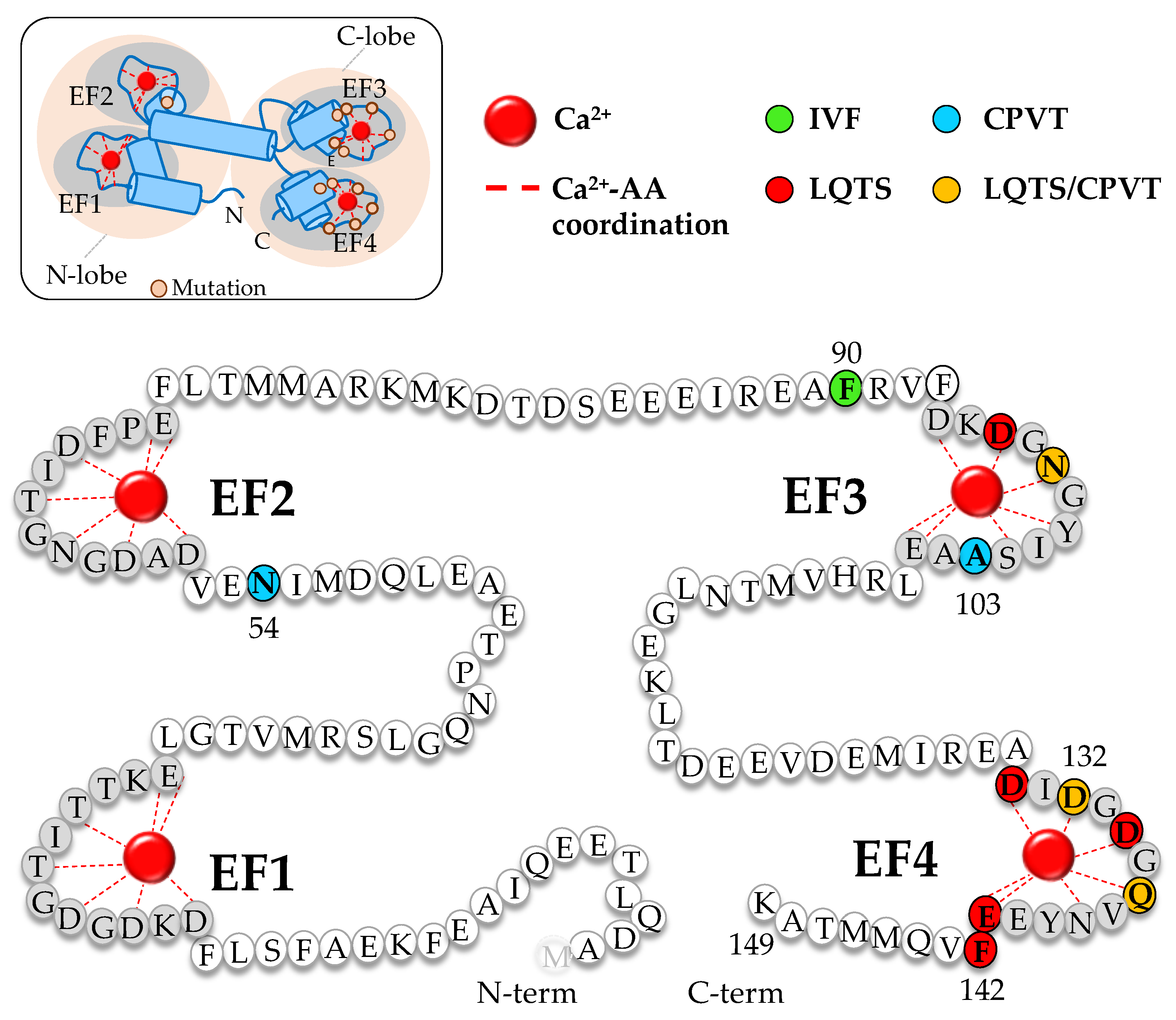 Ijms 20 00400 g001 Ijms 20 00400 g001