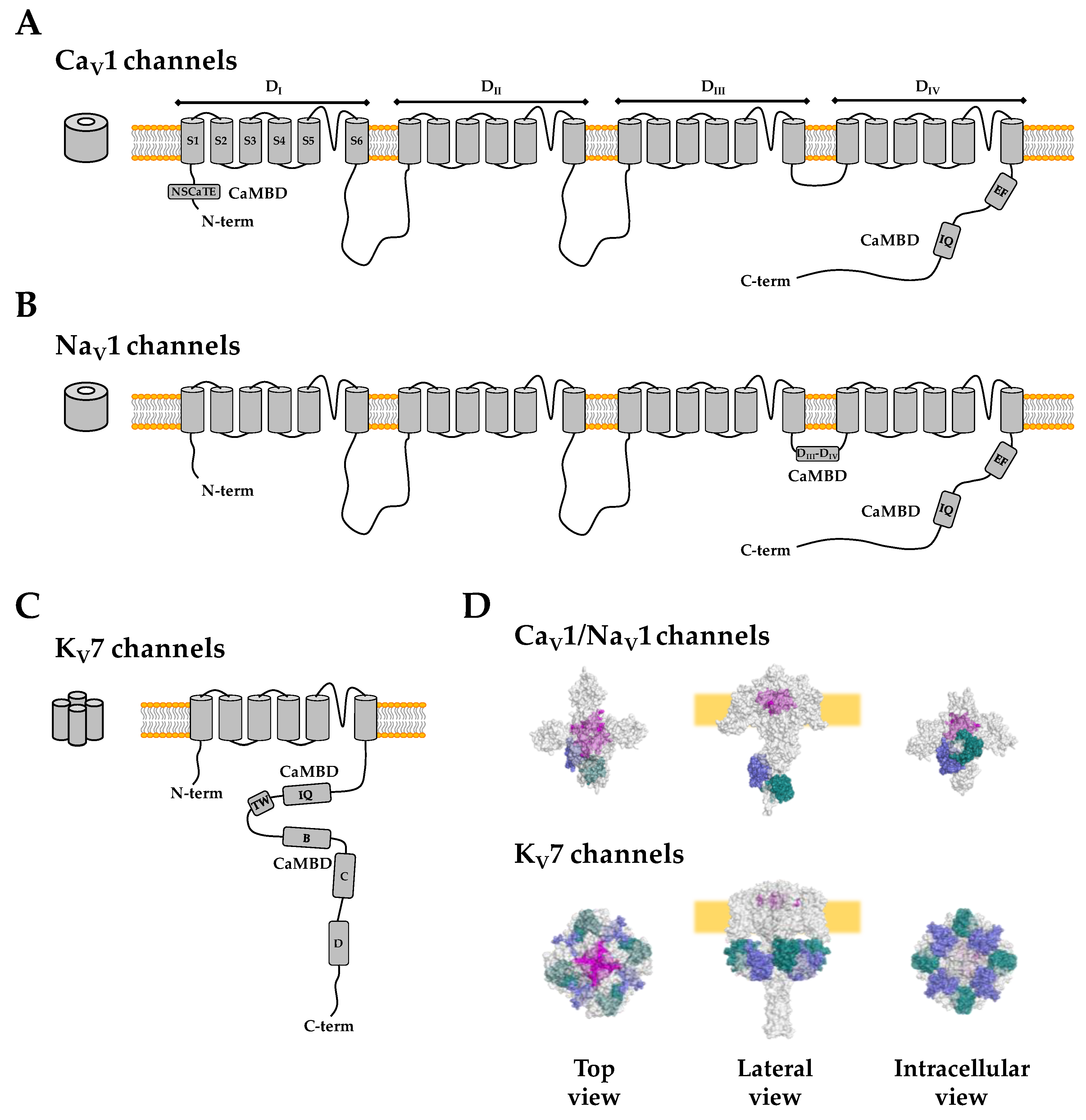Ijms 20 00400 g002 Ijms 20 00400 g002