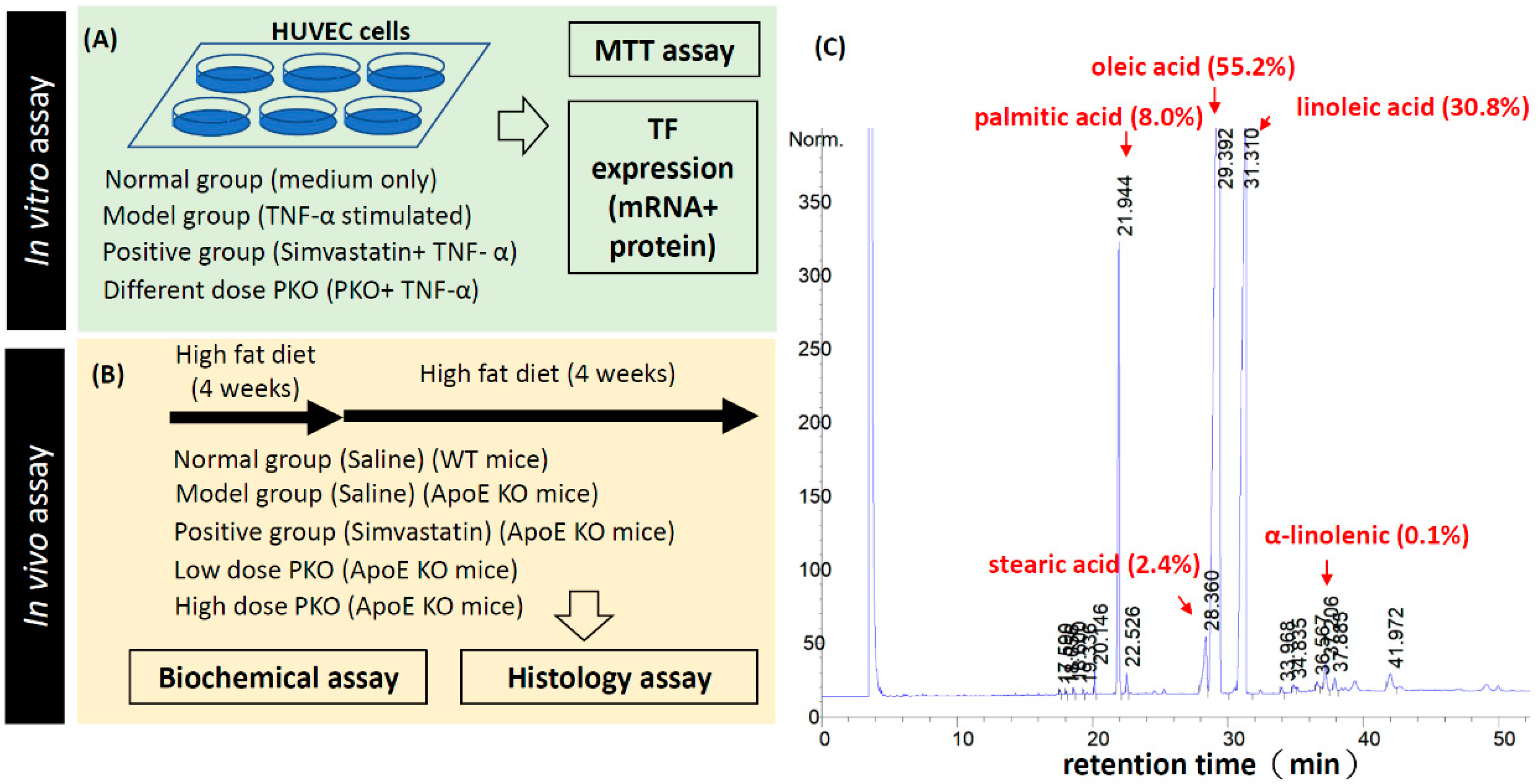 Ijms 20 00405 g001 Ijms 20 00405 g001