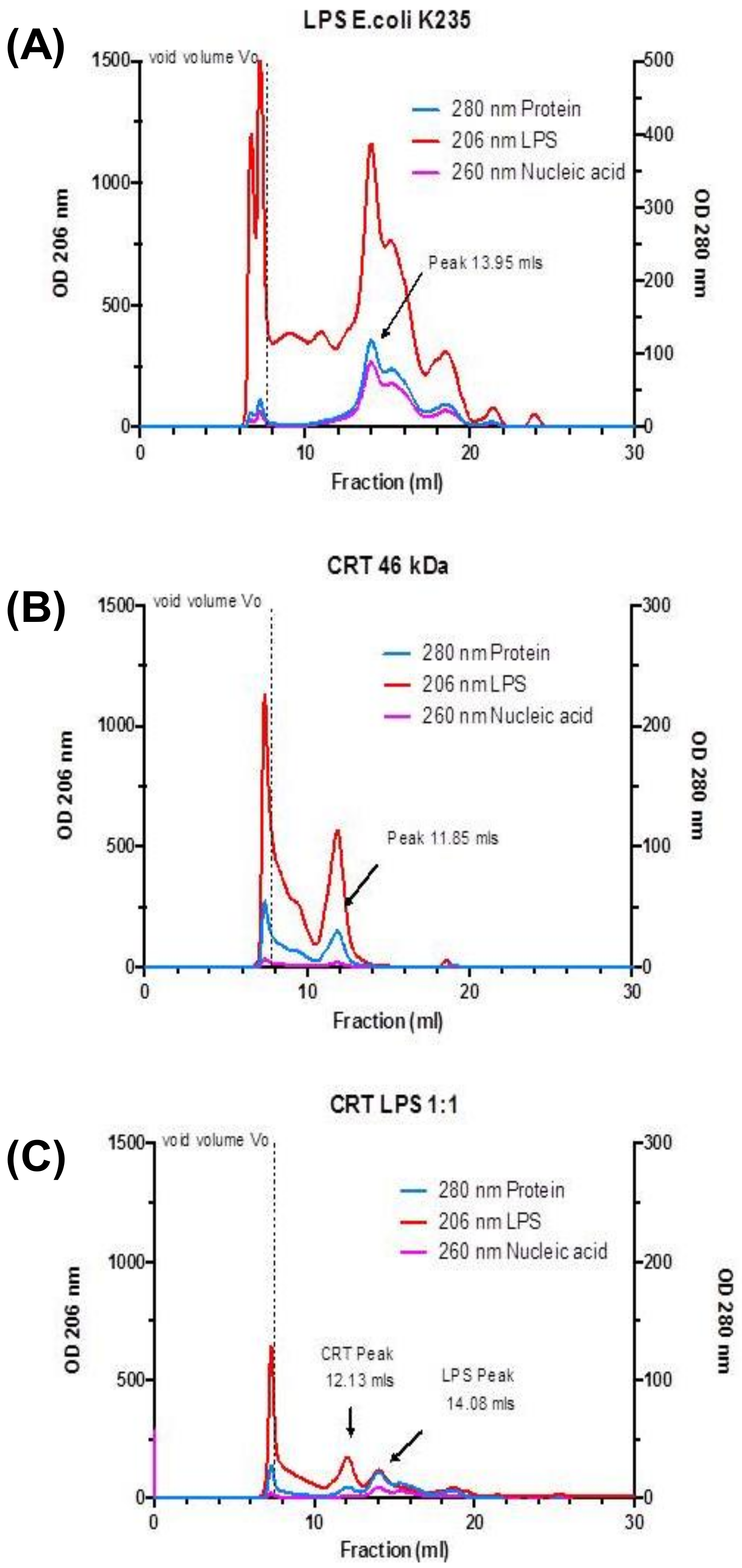 Ijms 20 00408 g005 Ijms 20 00408 g005