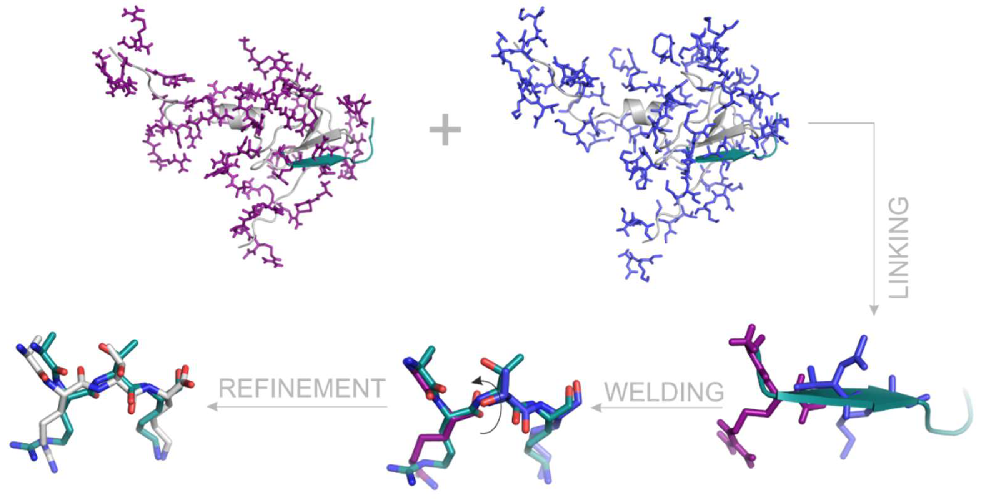 Ijms 20 00422 g007 Ijms 20 00422 g007