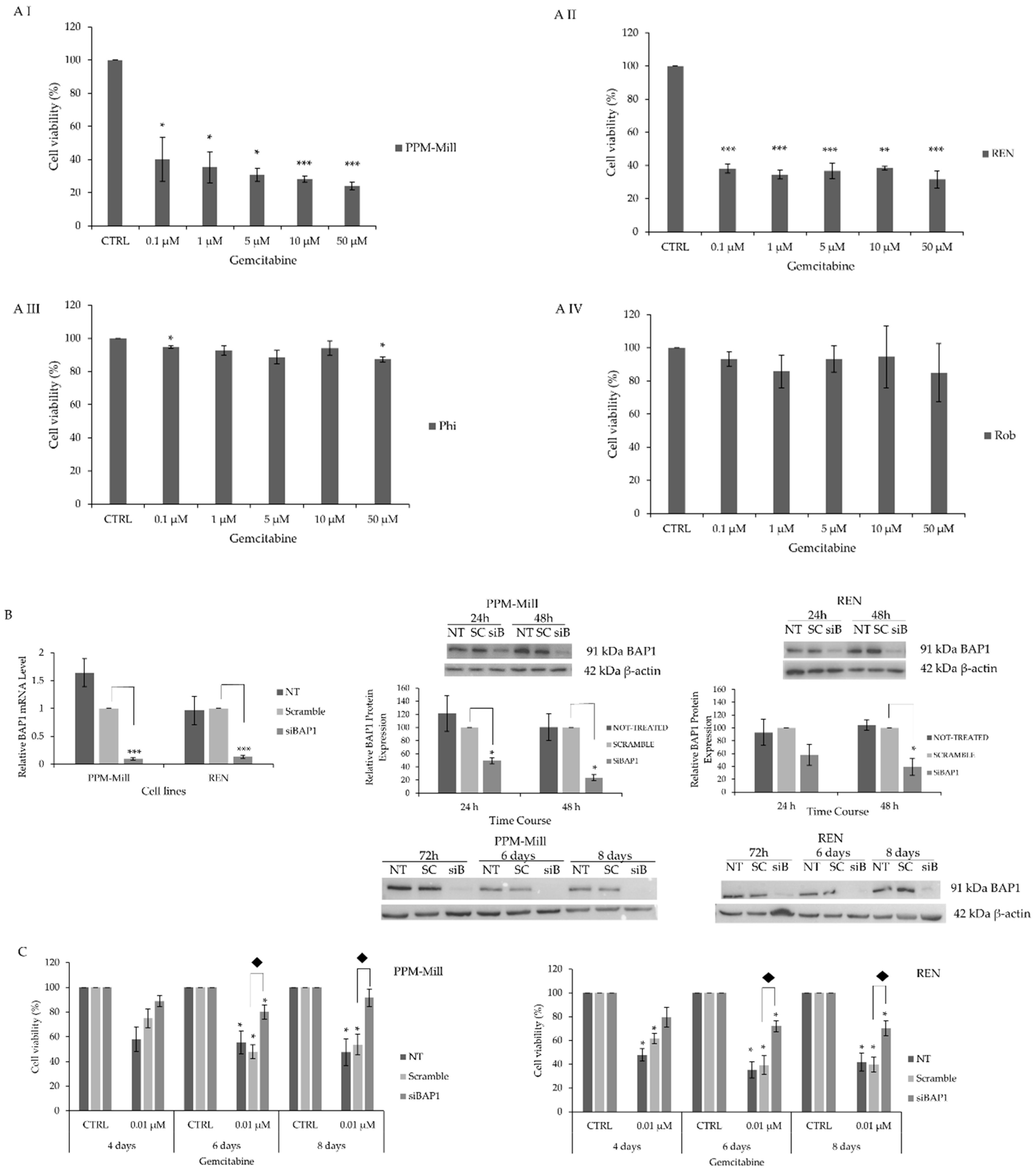 lung cancer metastasis to brain and bone life expectancy