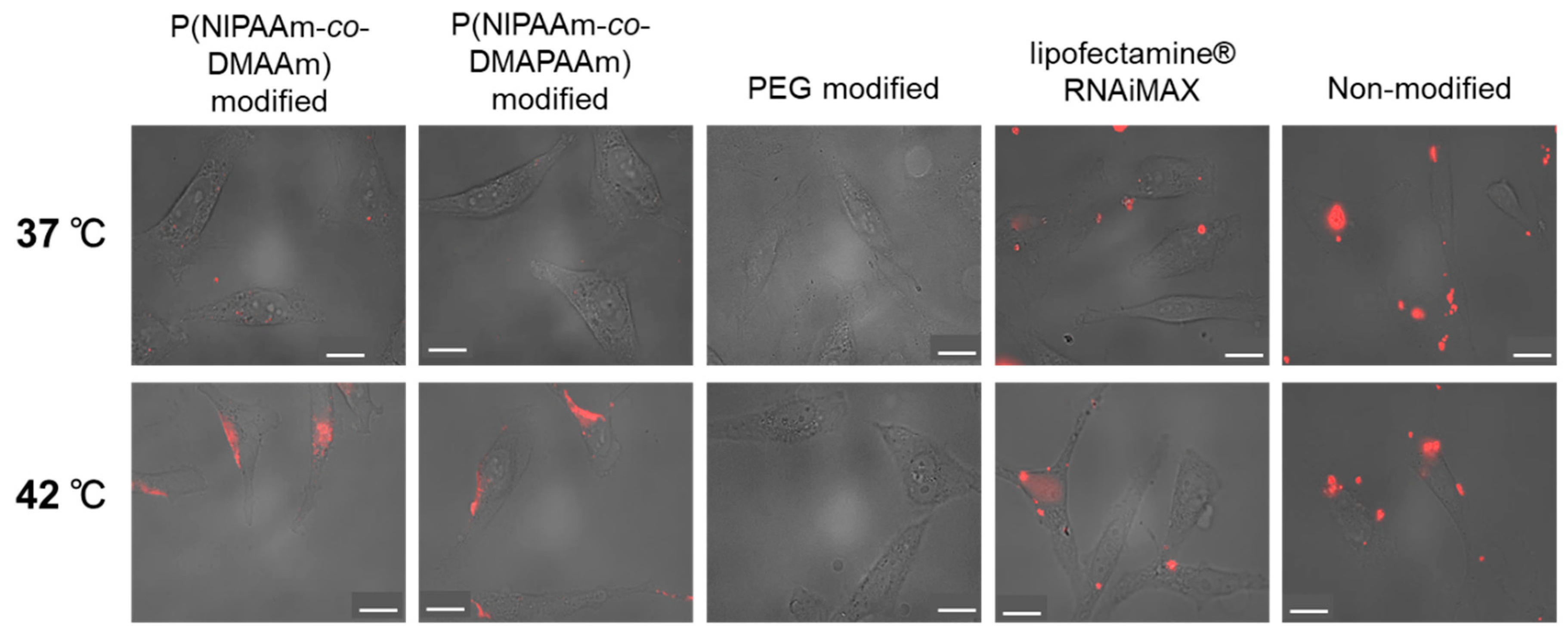 Ijms 20 00430 g006 Ijms 20 00430 g006