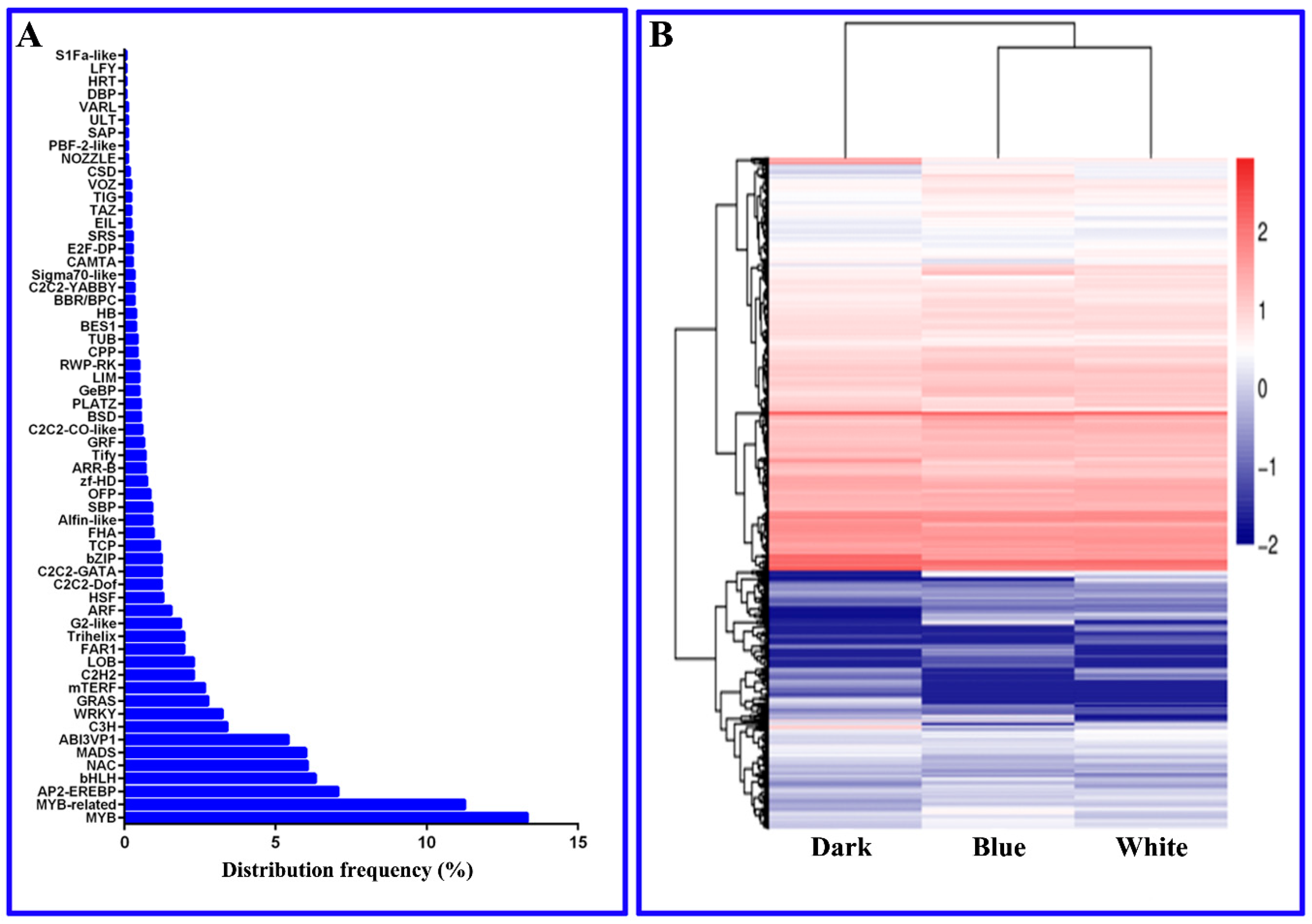 ijms free full text exploration of the effect of blue cryptochrome blue light