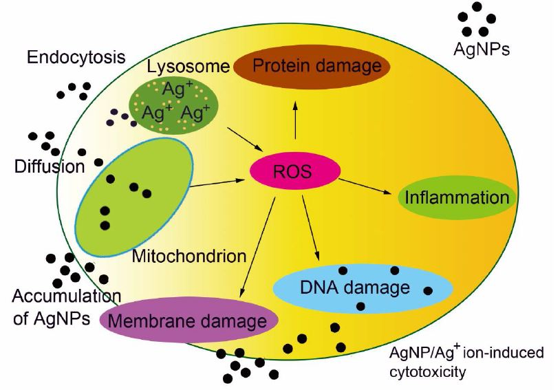 online advances in microbial physiology