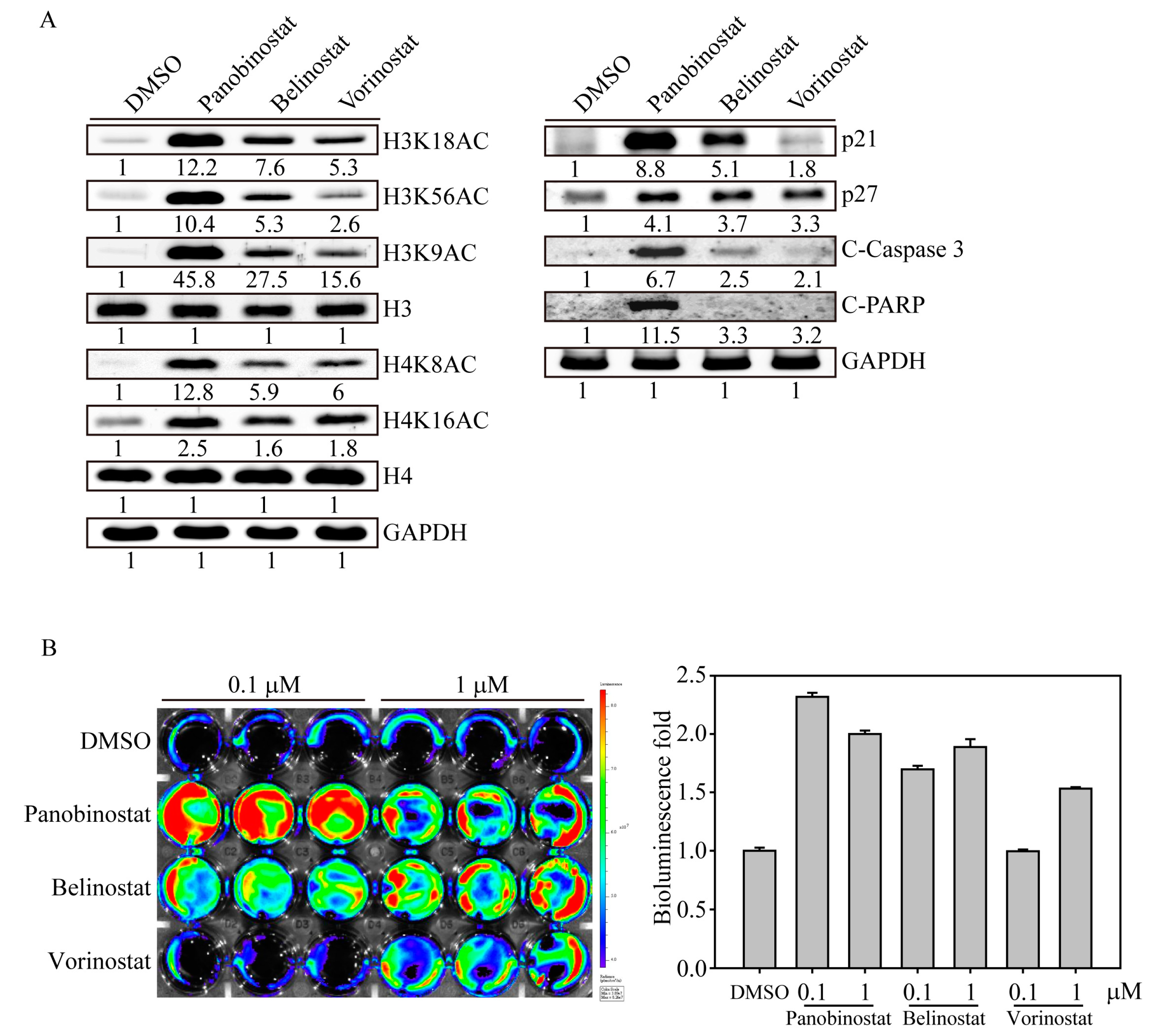 Ijms 20 00454 g002 Ijms 20 00454 g002