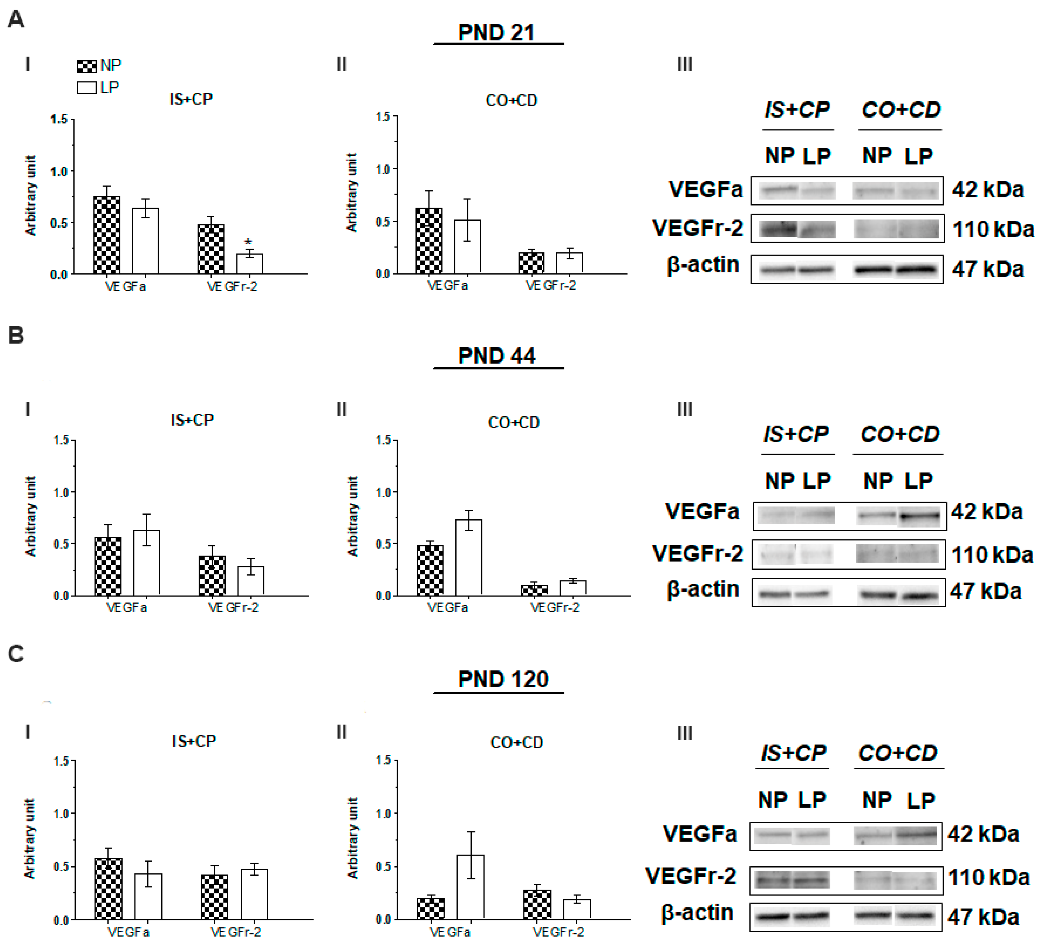 Ijms 20 00469 g002 Ijms 20 00469 g002