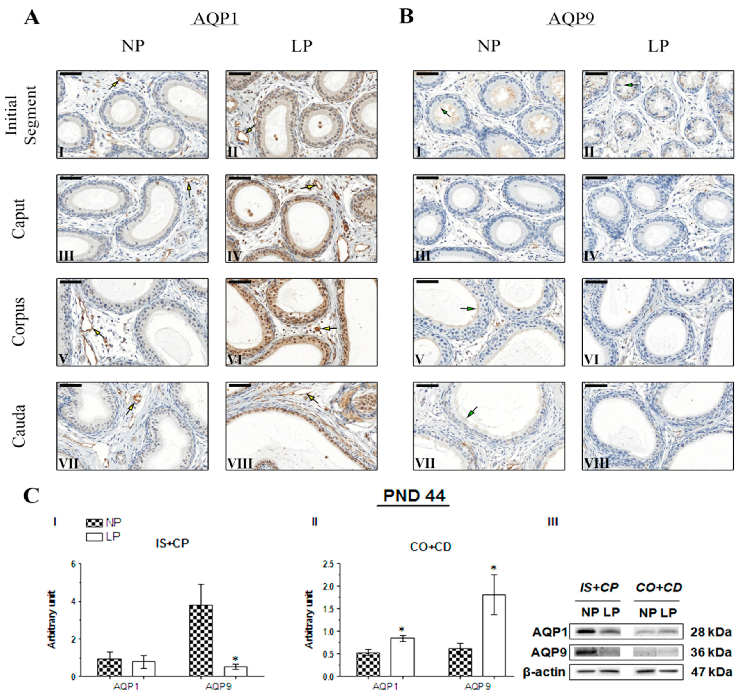 Ijms 20 00469 g005 Ijms 20 00469 g005