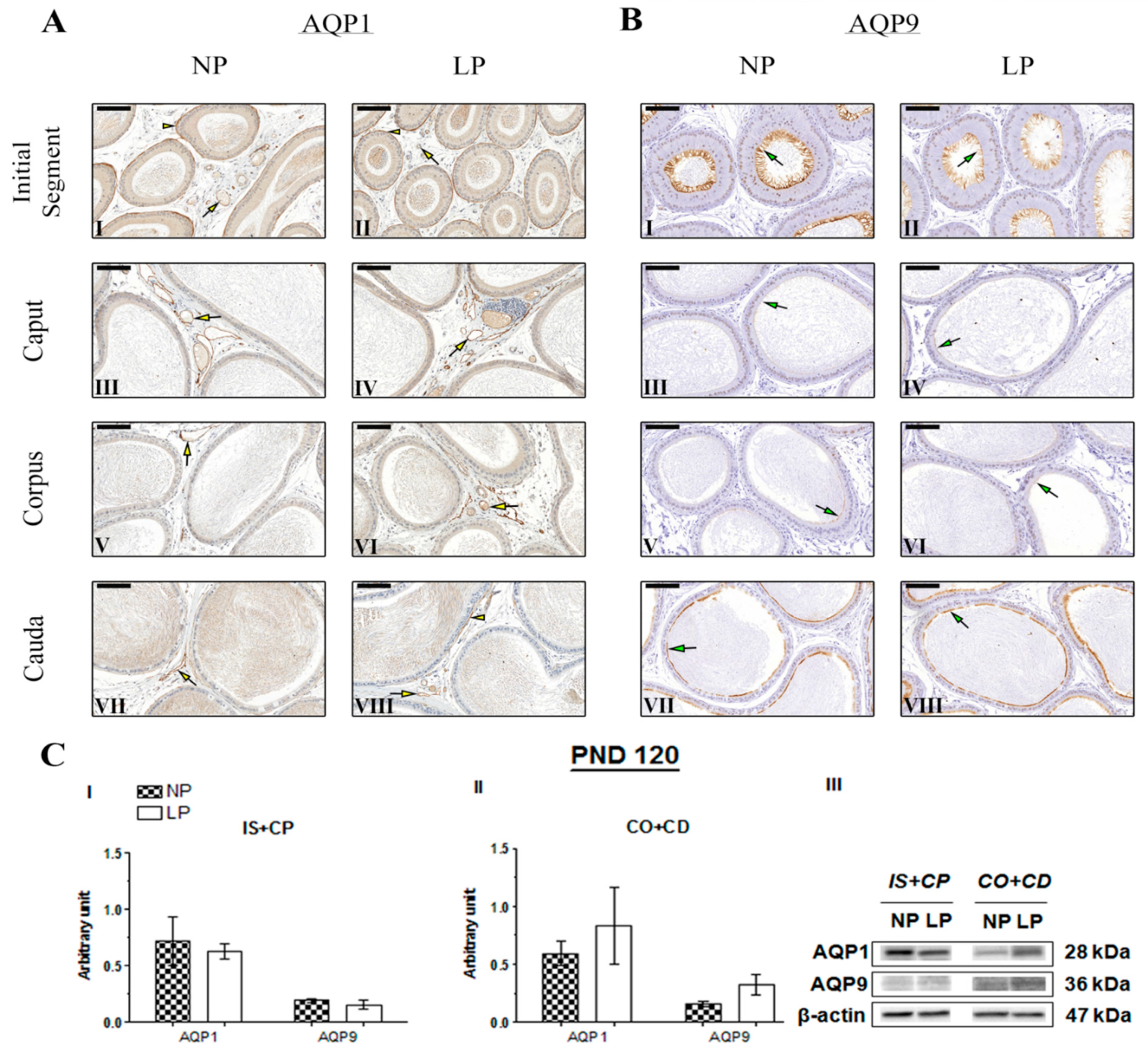 Ijms 20 00469 g006 Ijms 20 00469 g006